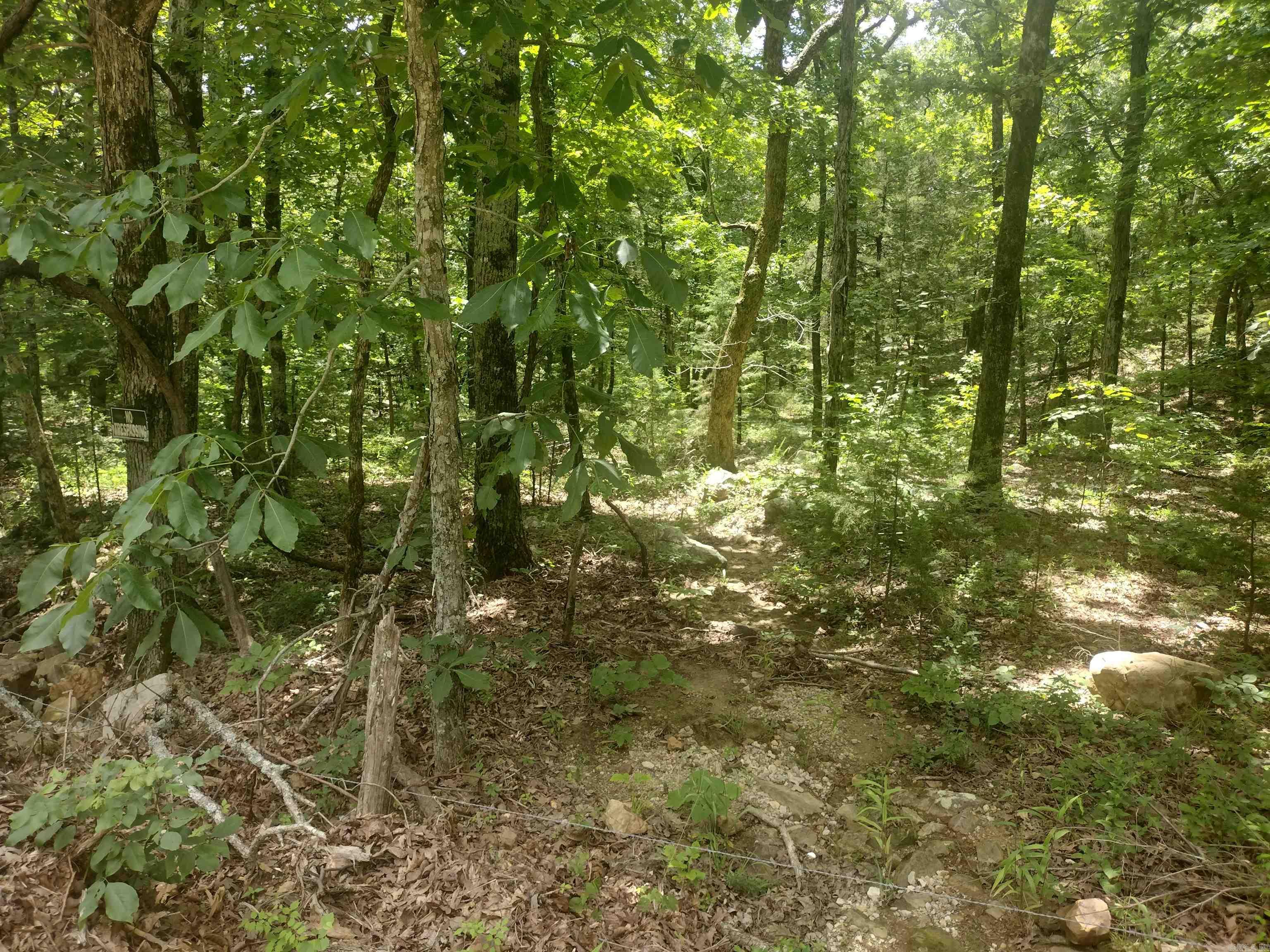 483 Mcintire Ln Property Photo 2