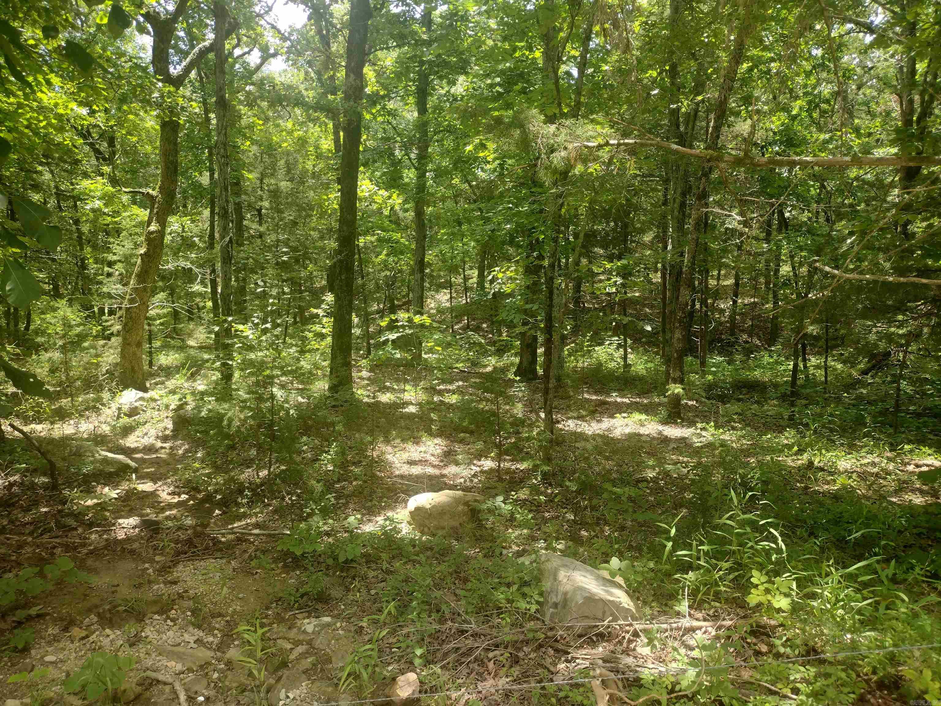 483 Mcintire Ln Property Photo 3