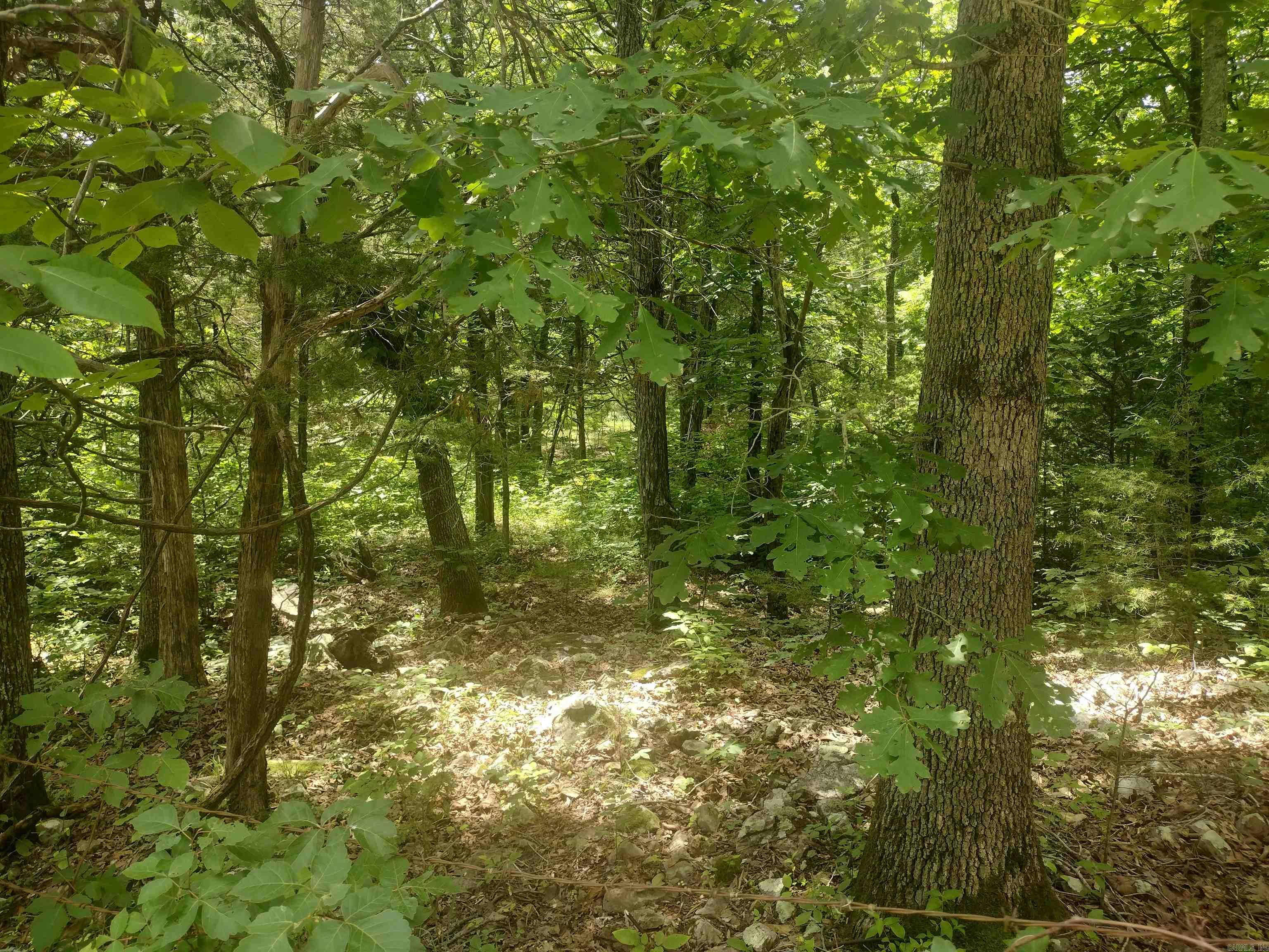 483 Mcintire Ln Property Photo 6