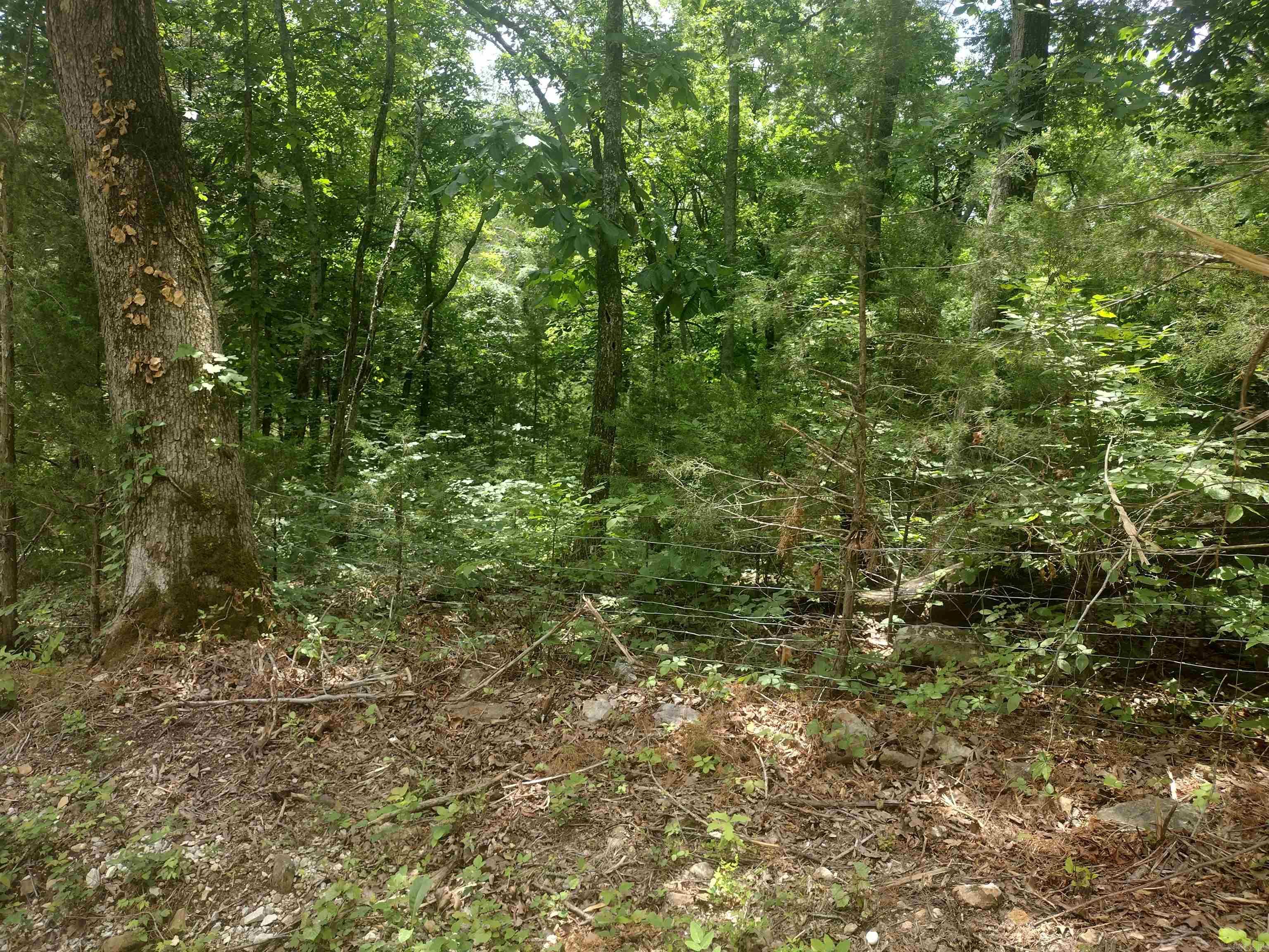 483 Mcintire Ln Property Photo 7