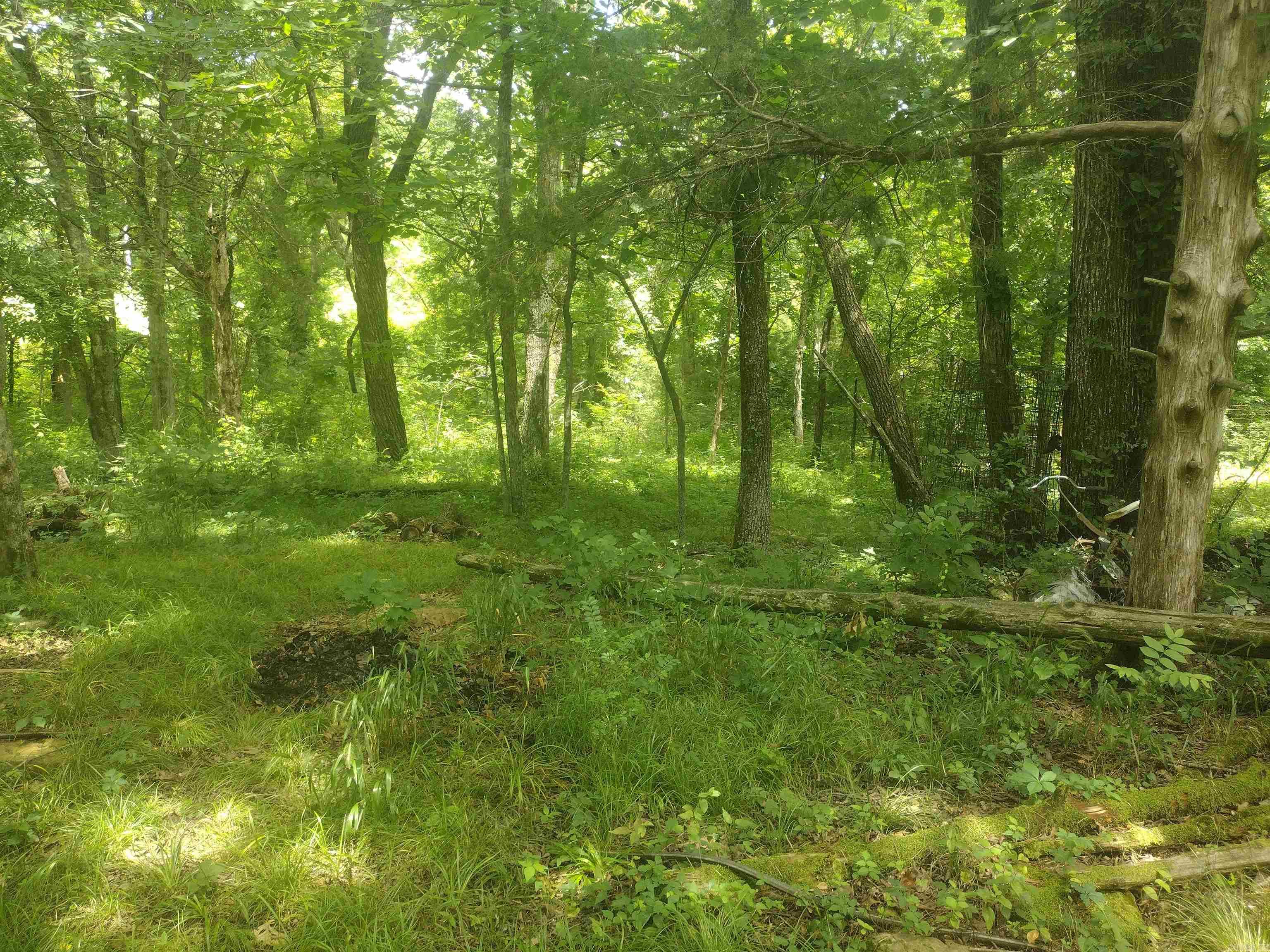 483 Mcintire Ln Property Photo 11