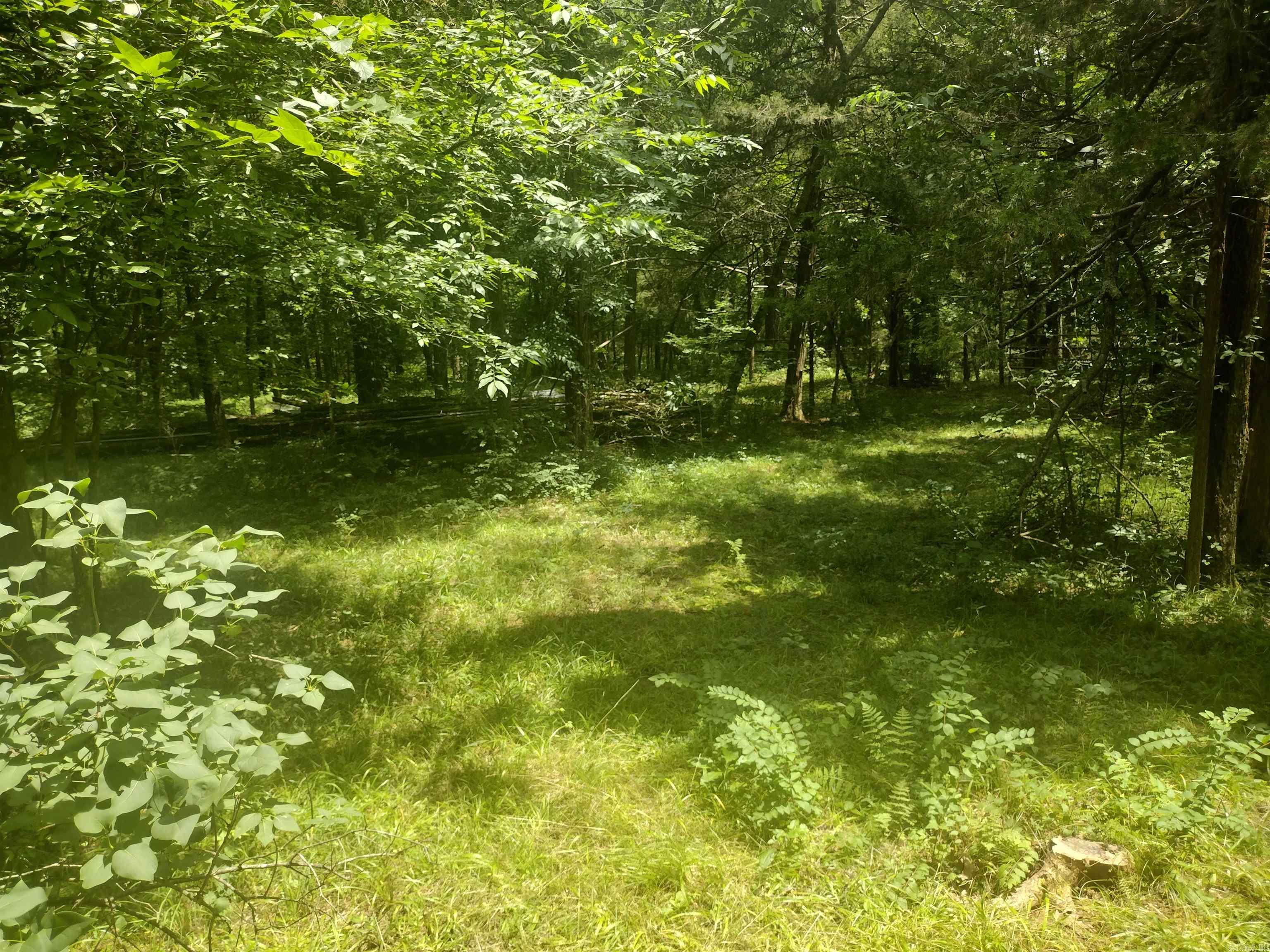 483 Mcintire Ln Property Photo 13