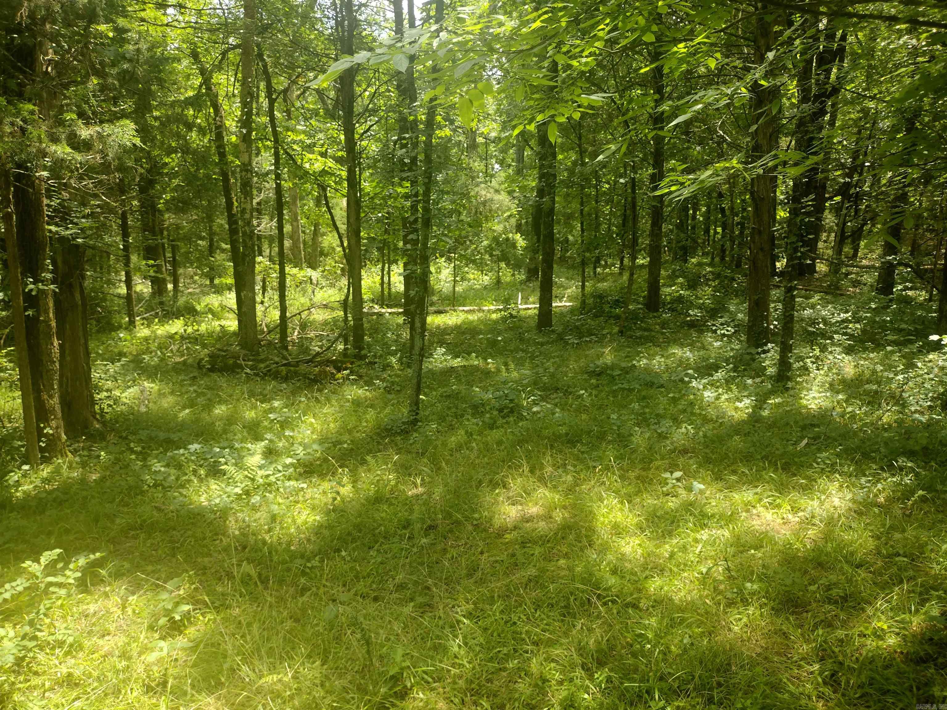 483 Mcintire Ln Property Photo 14