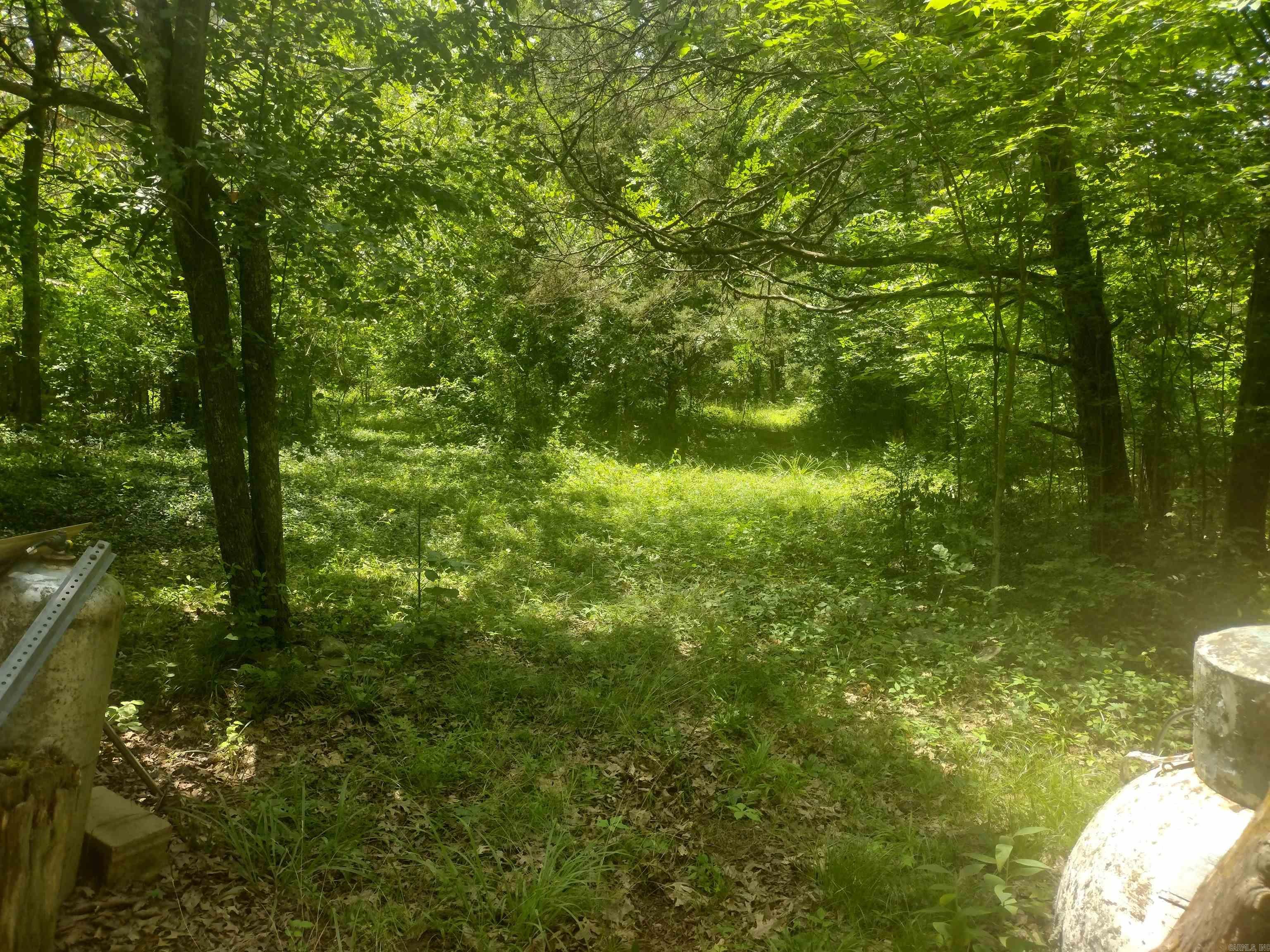 483 Mcintire Ln Property Photo 22