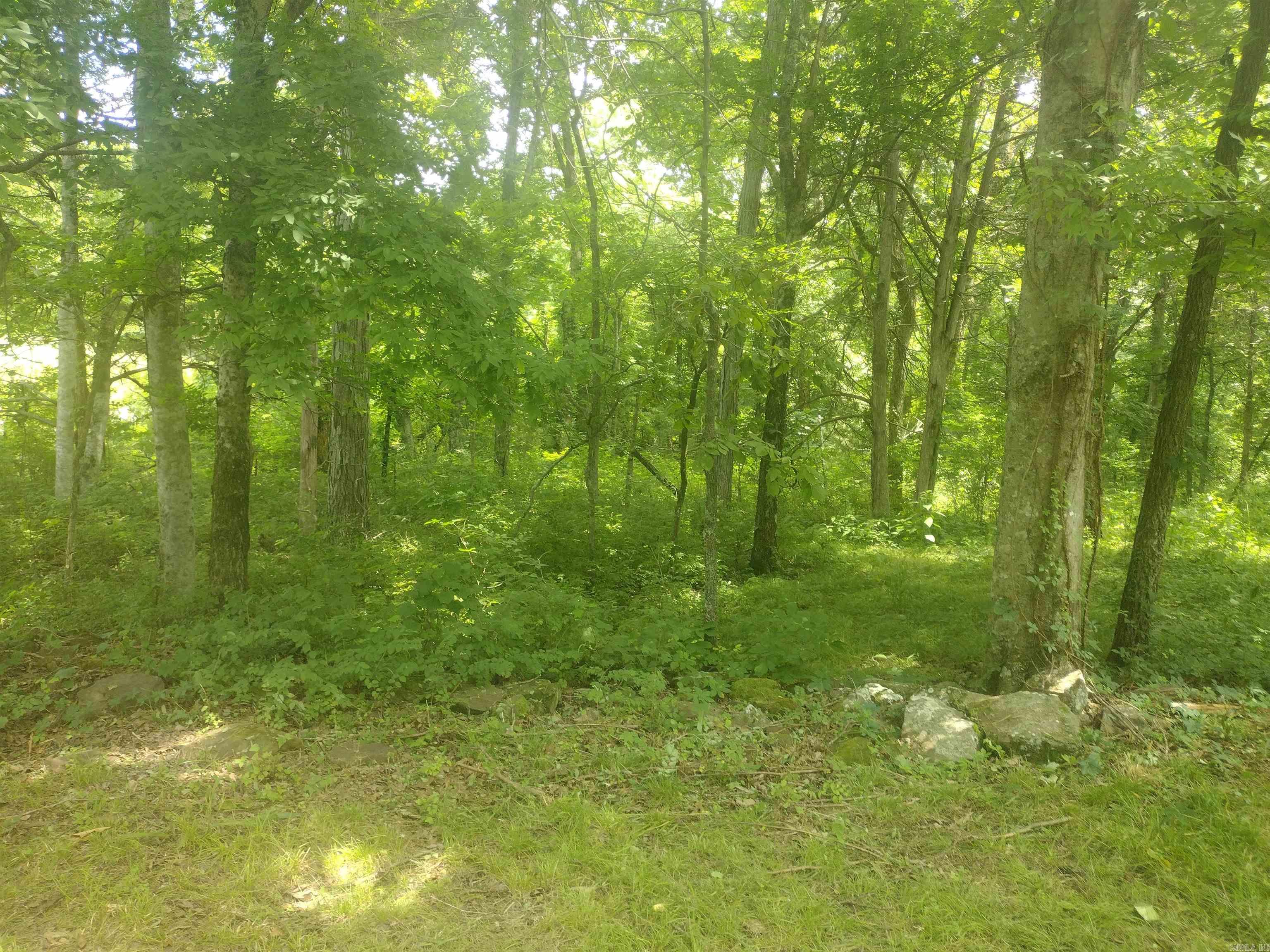 483 Mcintire Ln Property Photo 23