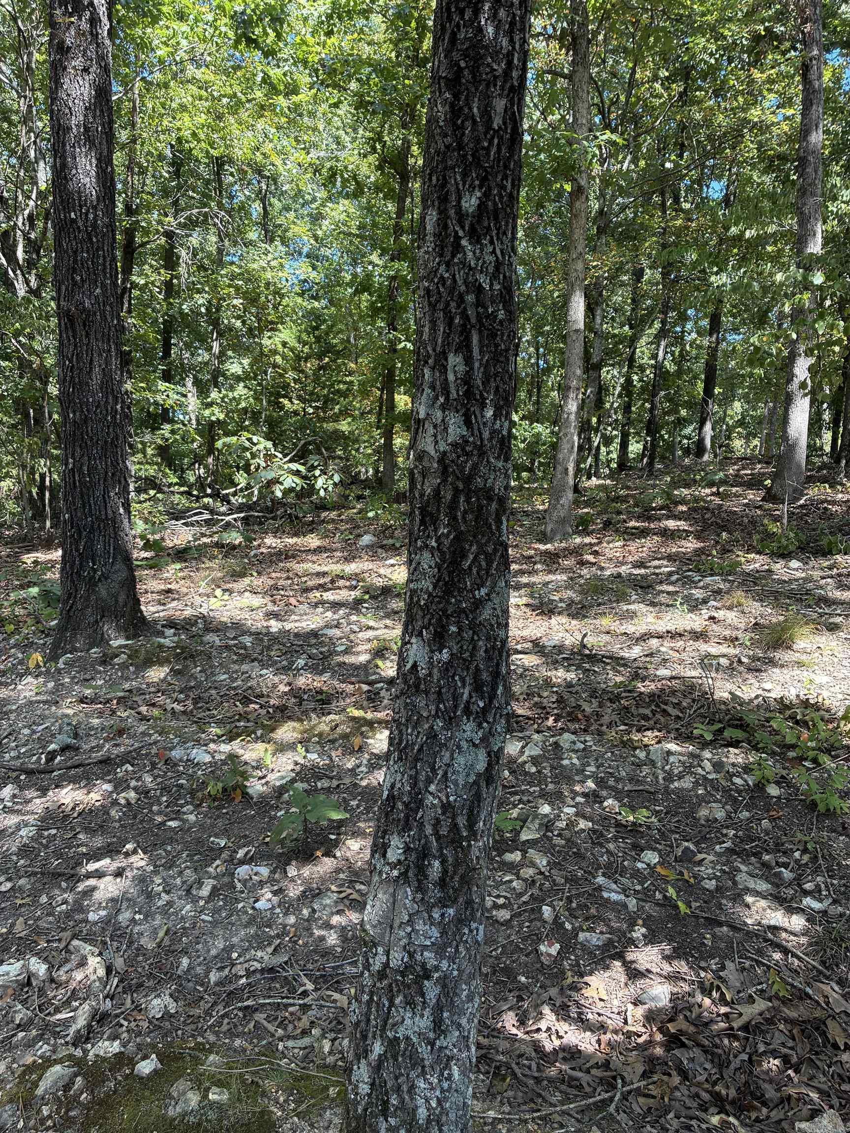 2662 Mc 8050 Property Photo 26