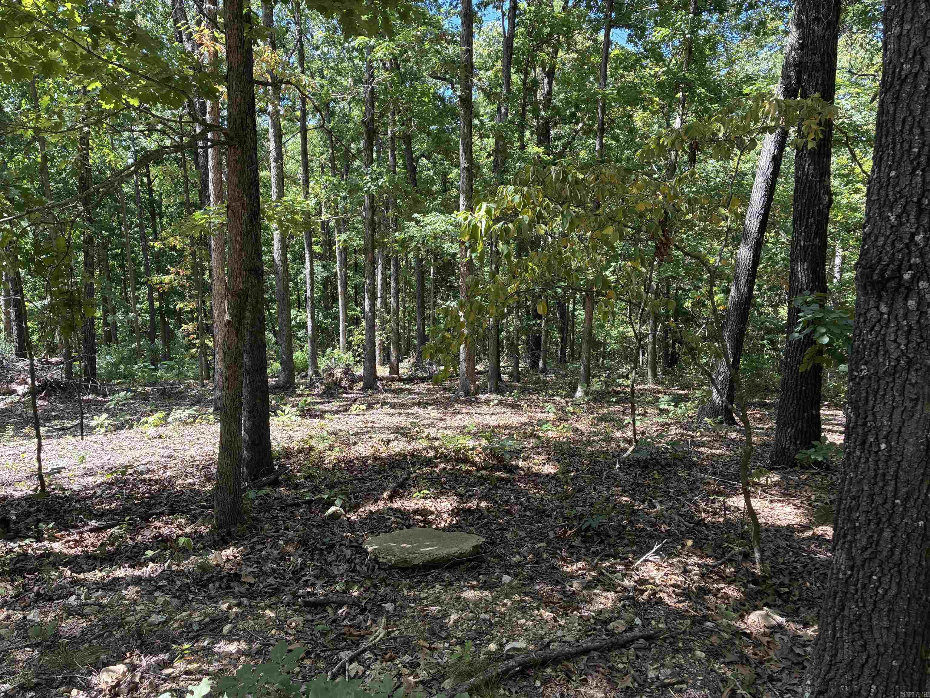 2662 Mc 8050 Property Photo 29