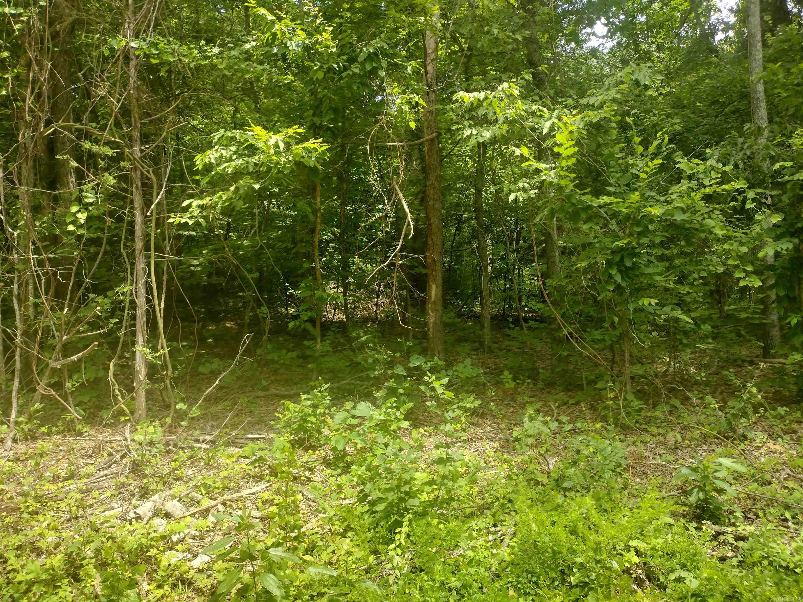 0 Mcitire Ln Property Photo 1