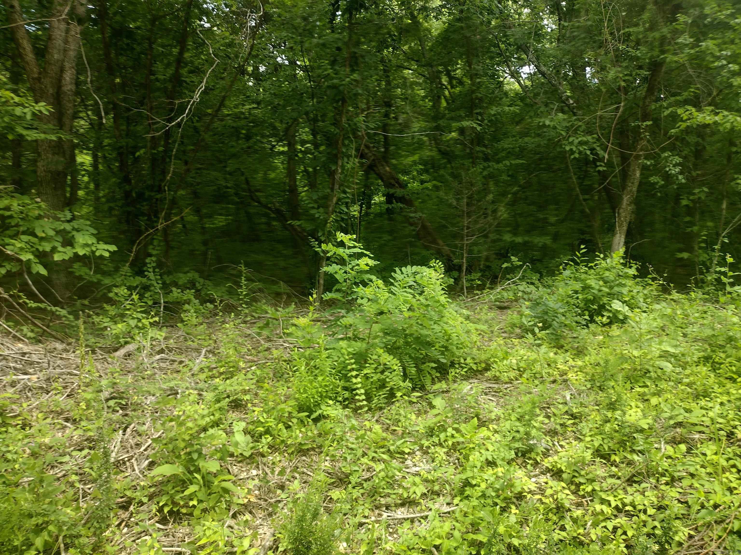 0 Mcitire Ln Property Photo 2