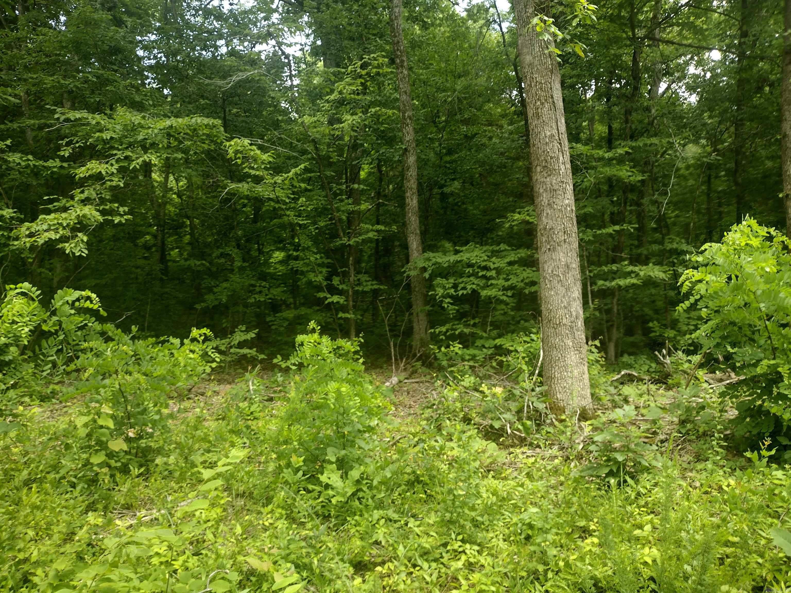 0 Mcitire Ln Property Photo 3