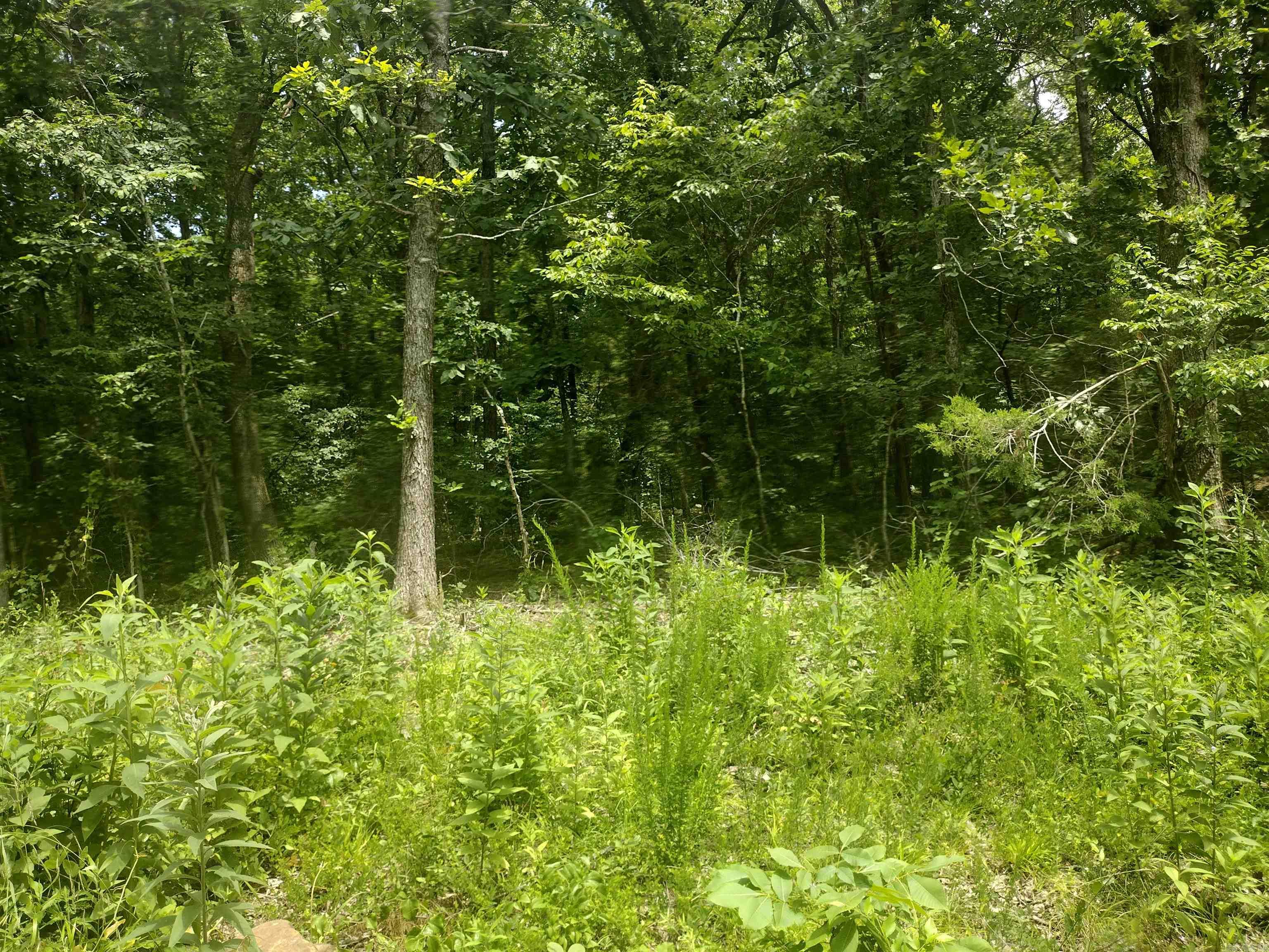 0 Mcitire Ln Property Photo 4