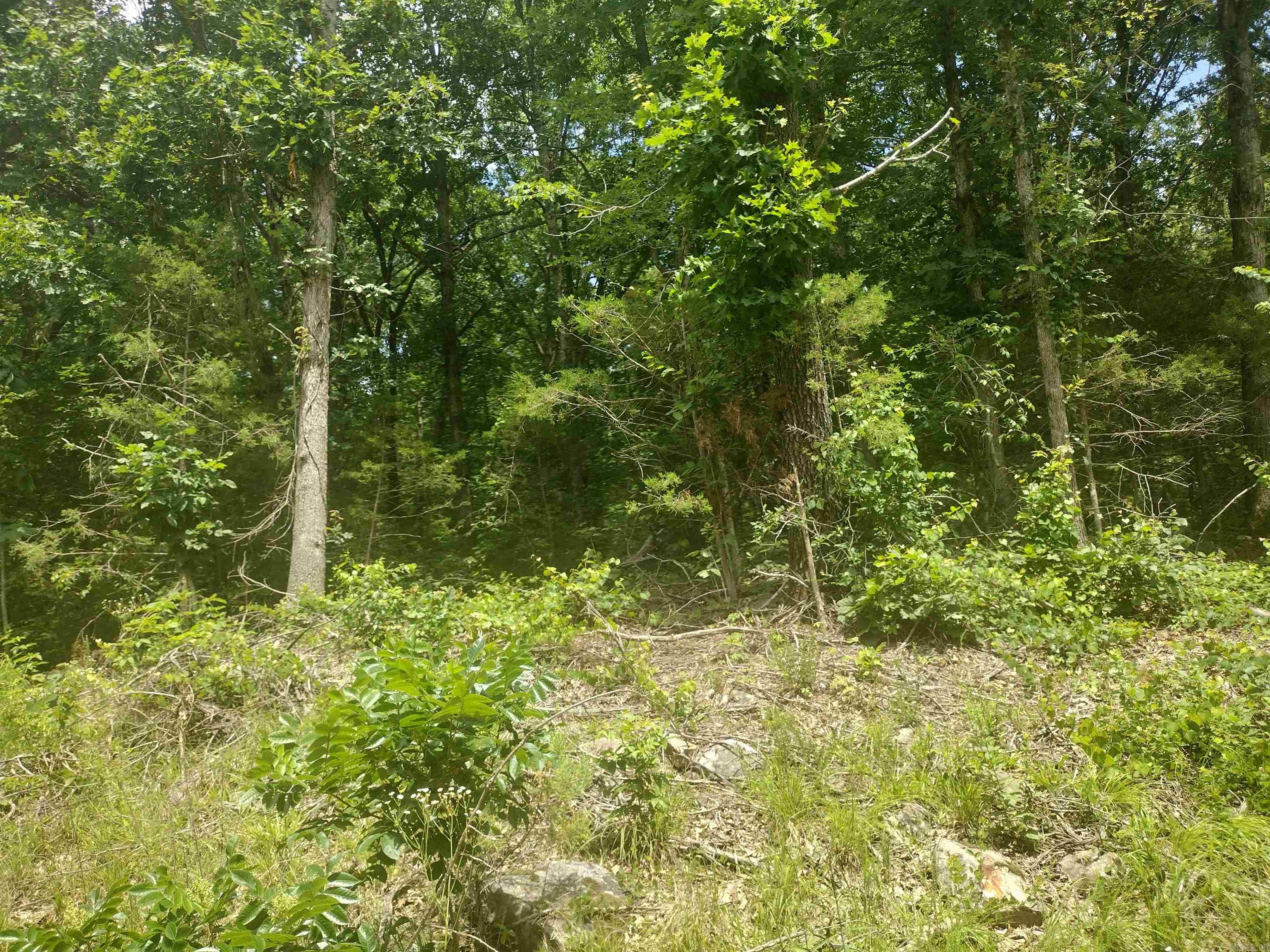 0 Mcitire Ln Property Photo 5