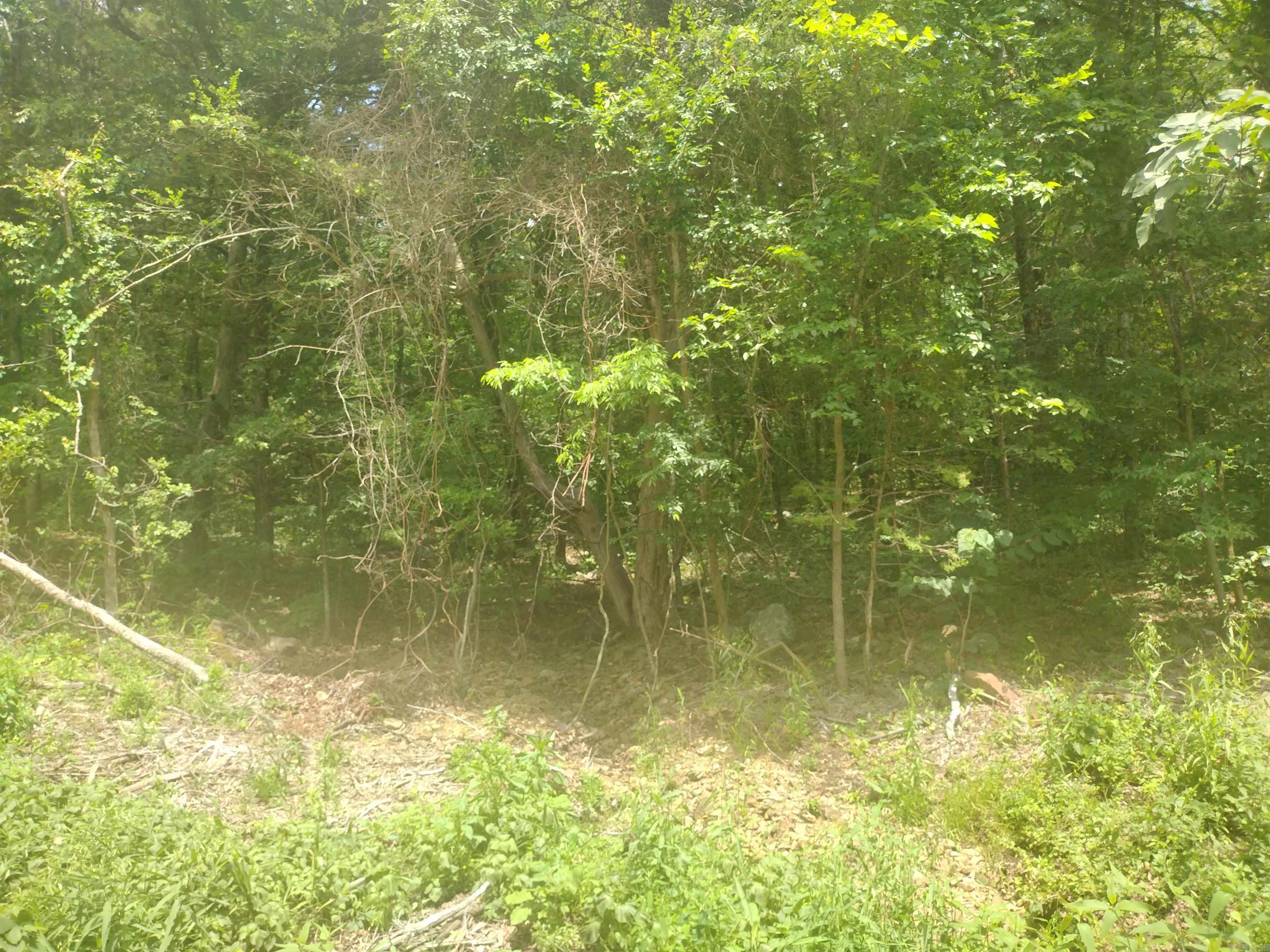 0 Mcitire Ln Property Photo 6