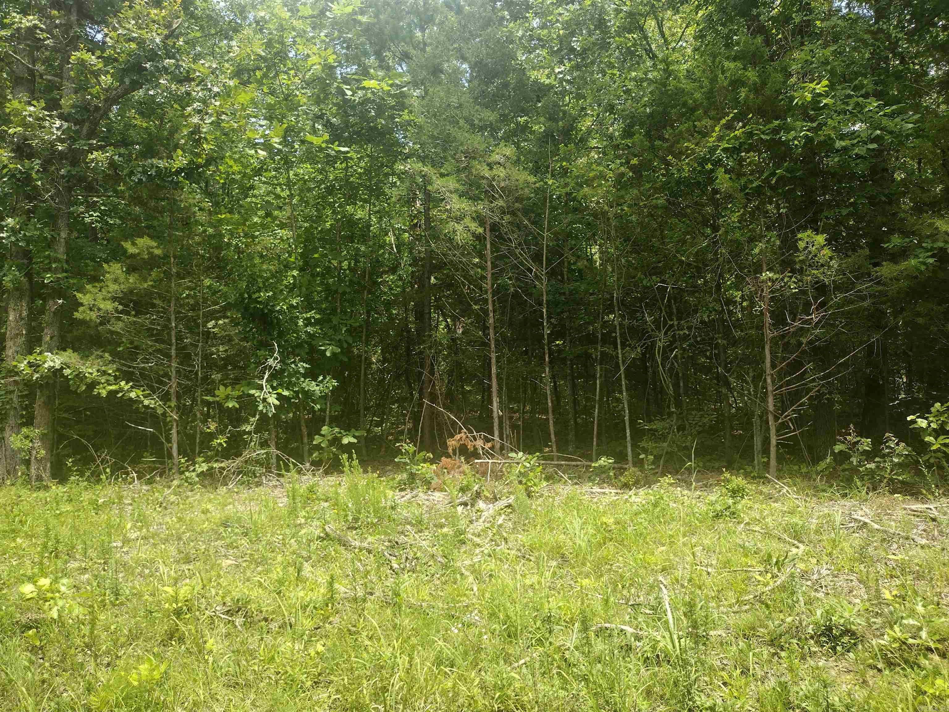 0 Mcitire Ln Property Photo 7