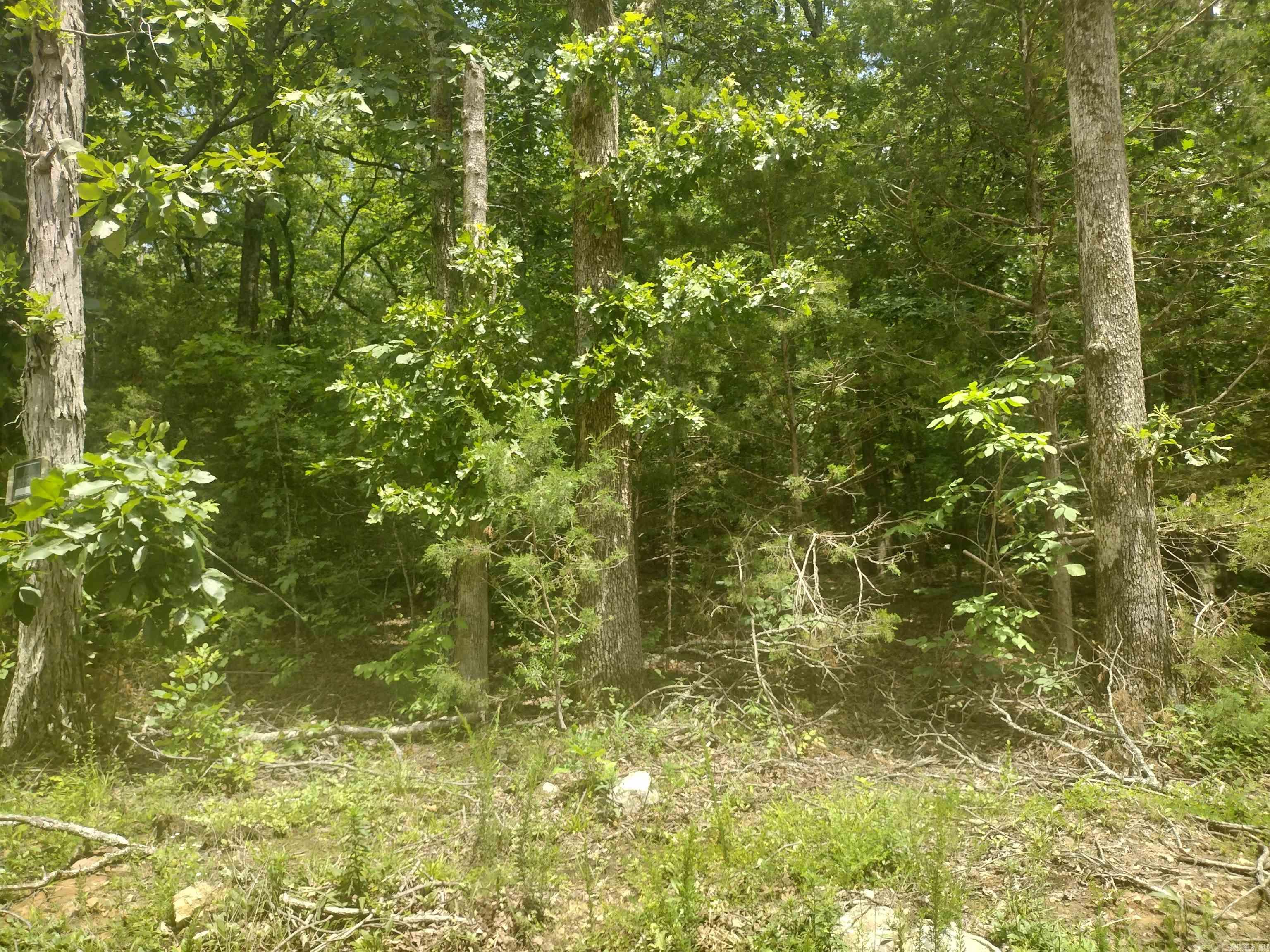 0 Mcitire Ln Property Photo 8