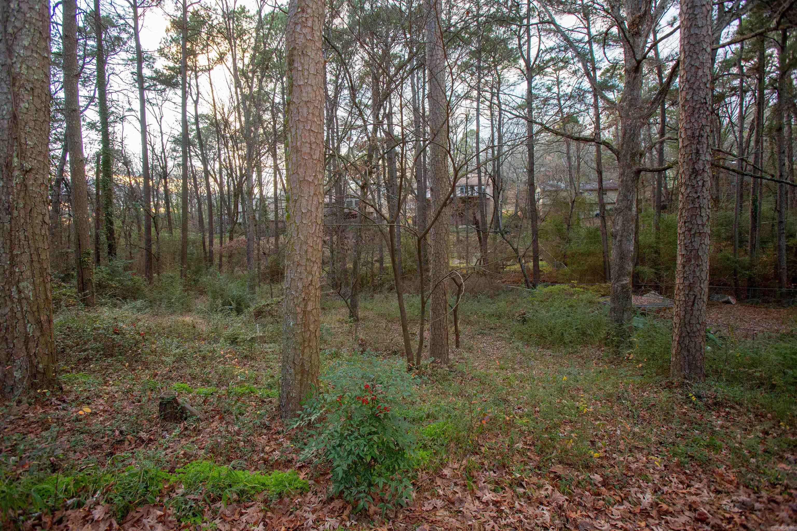 1506 Alberta Drive Property Photo 35