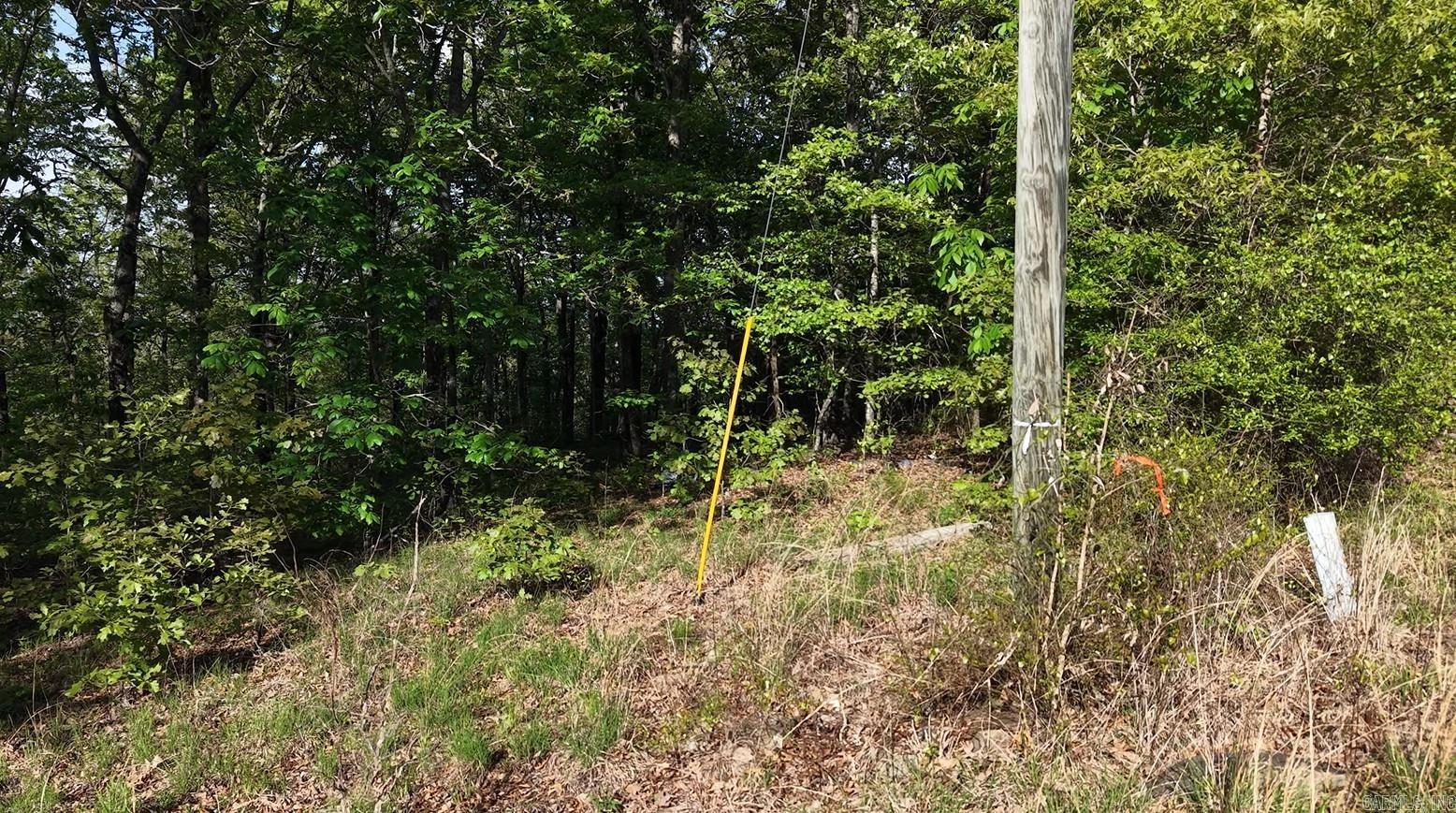 250 Windwood Country Property Photo 8