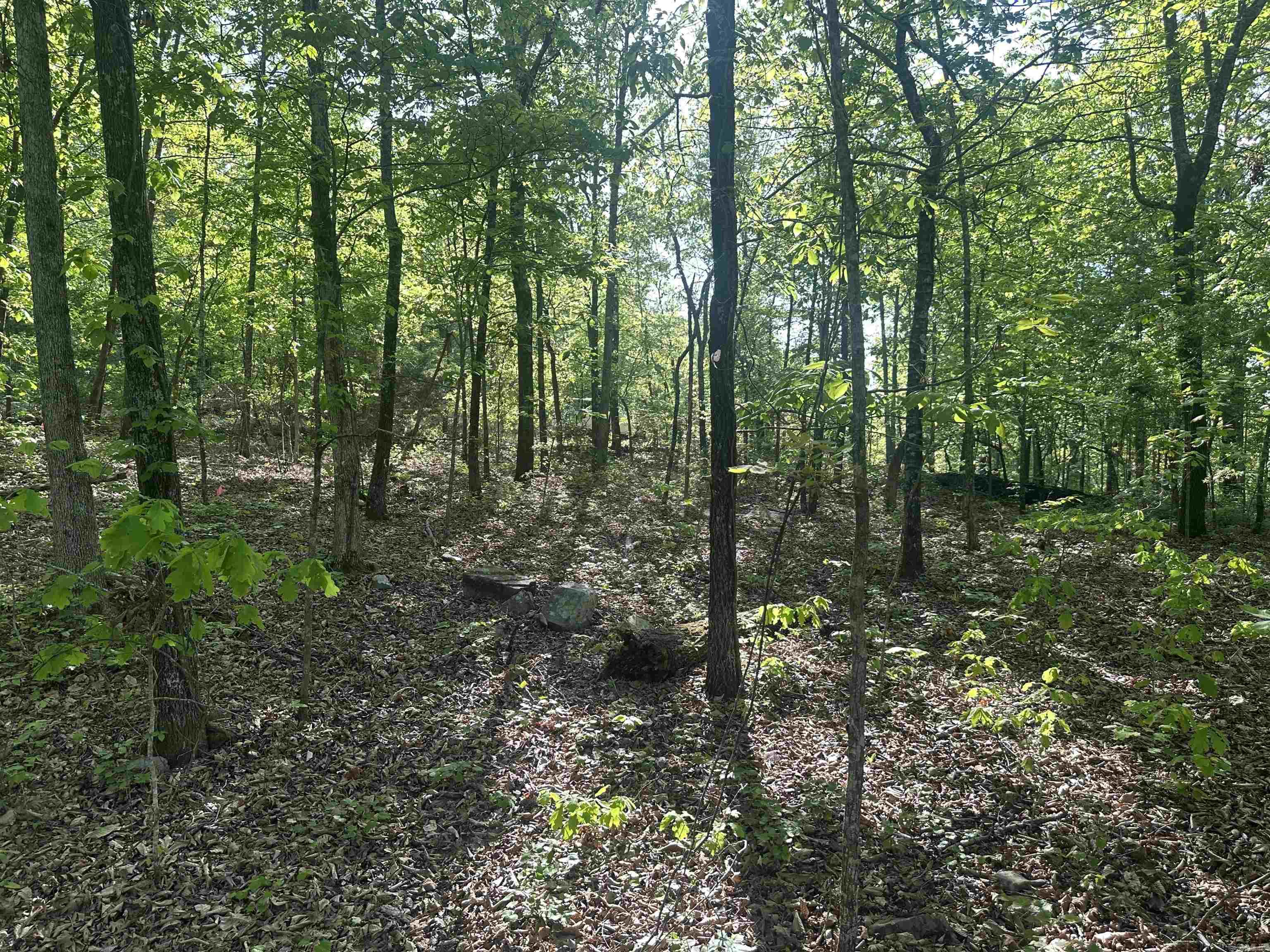 250 Windwood Country Property Photo 11