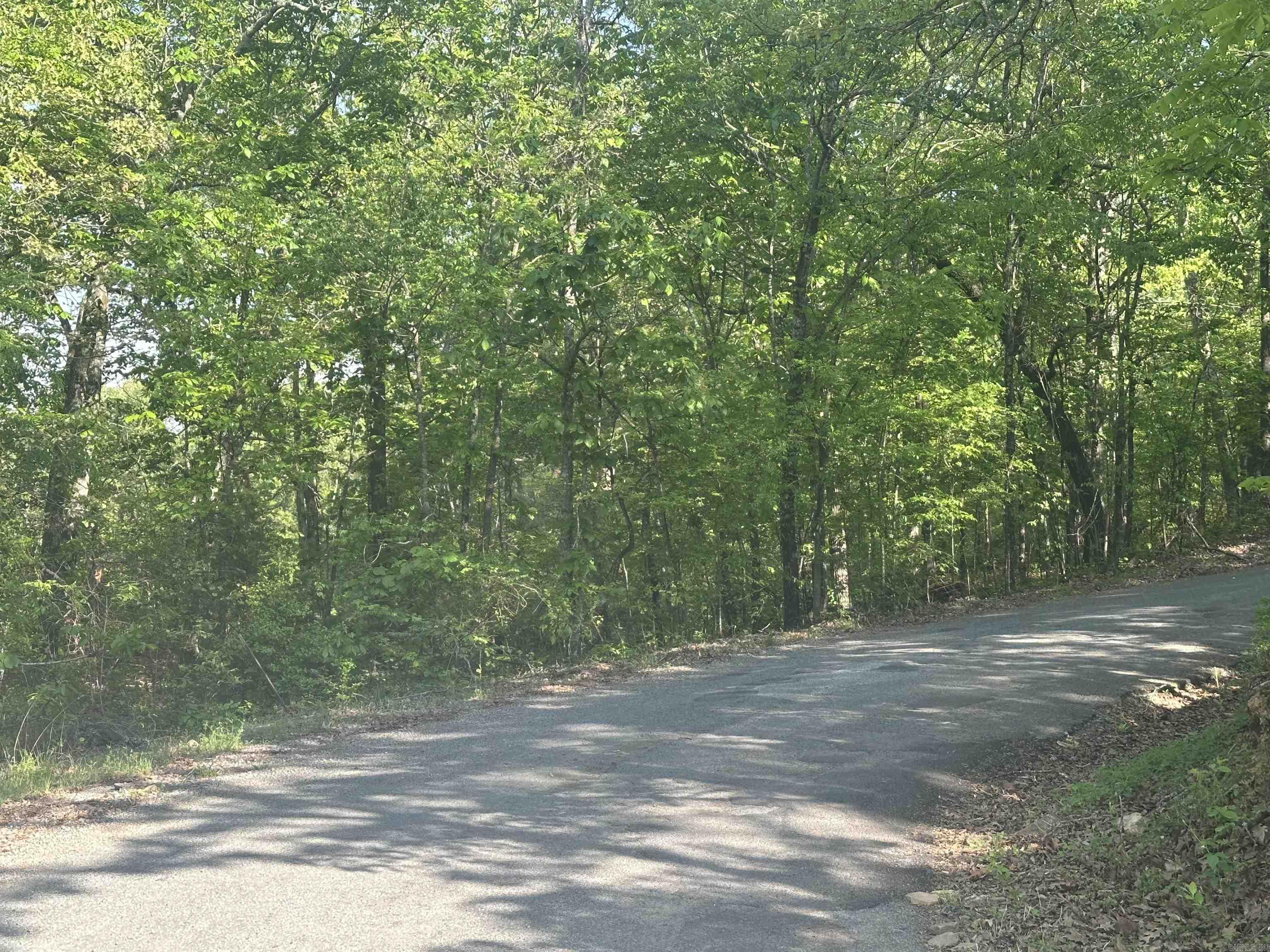 250 Windwood Country Property Photo 14