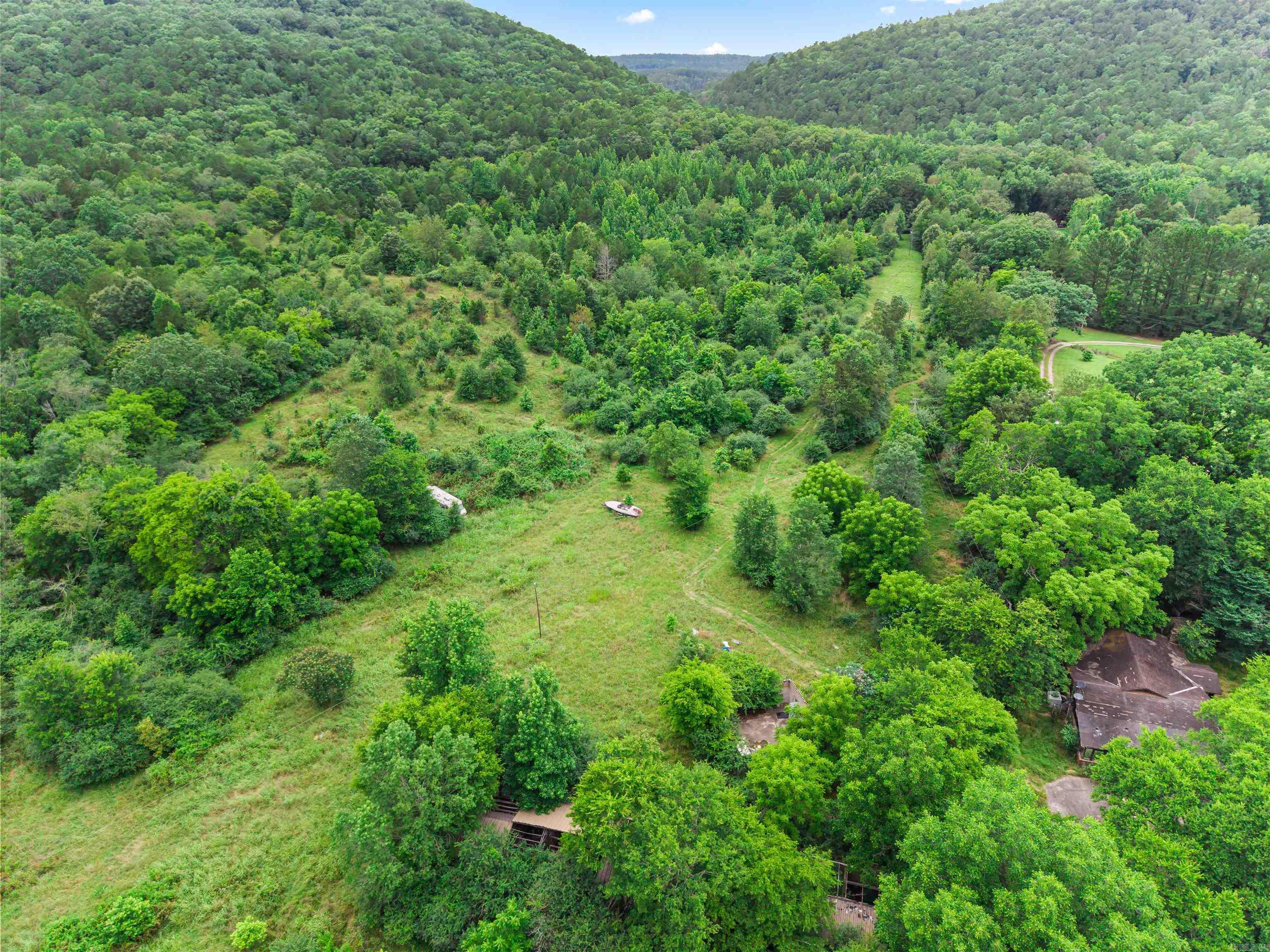 977 Wildcat Road Property Photo 8