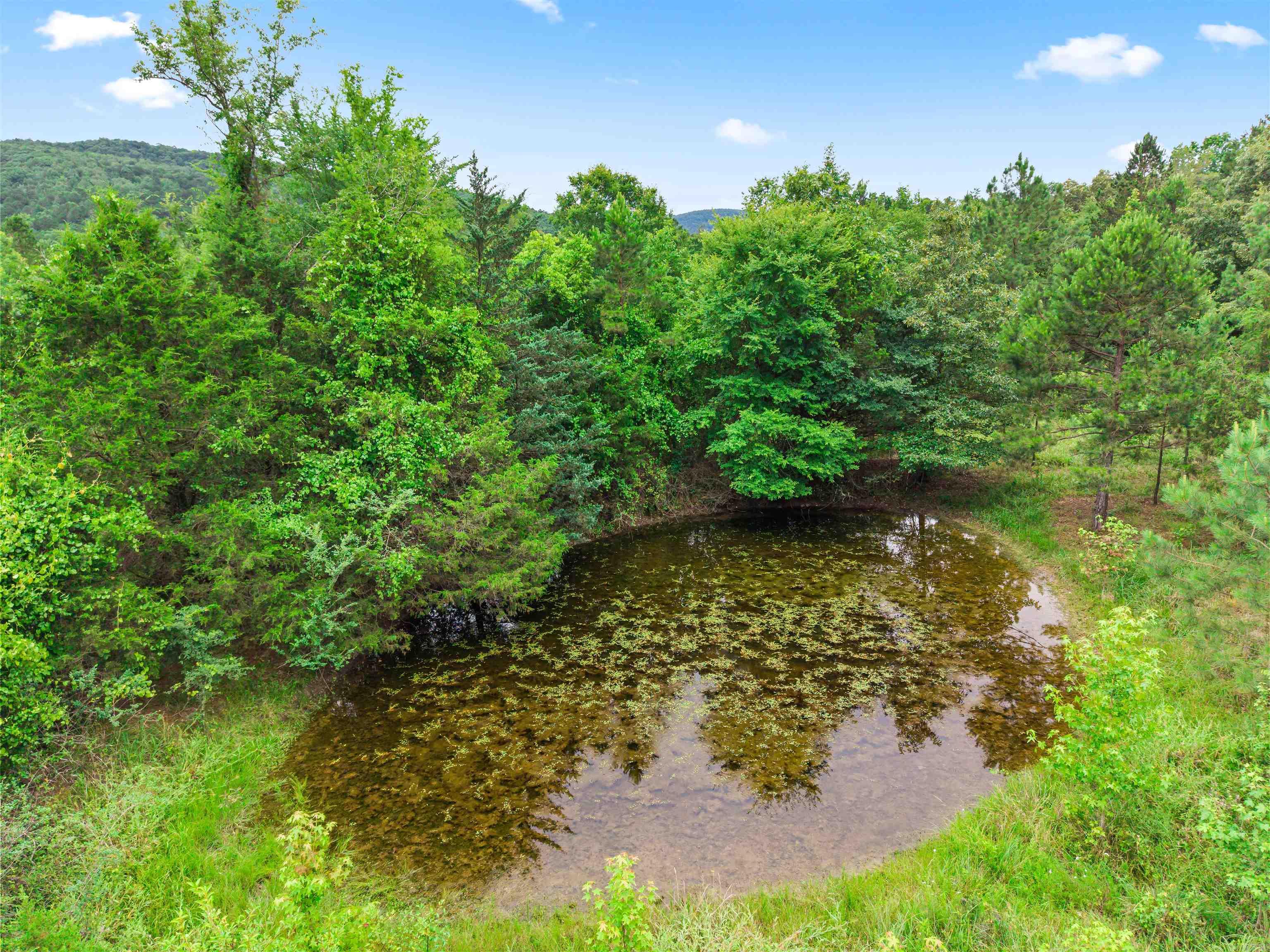 977 Wildcat Road Property Photo 12