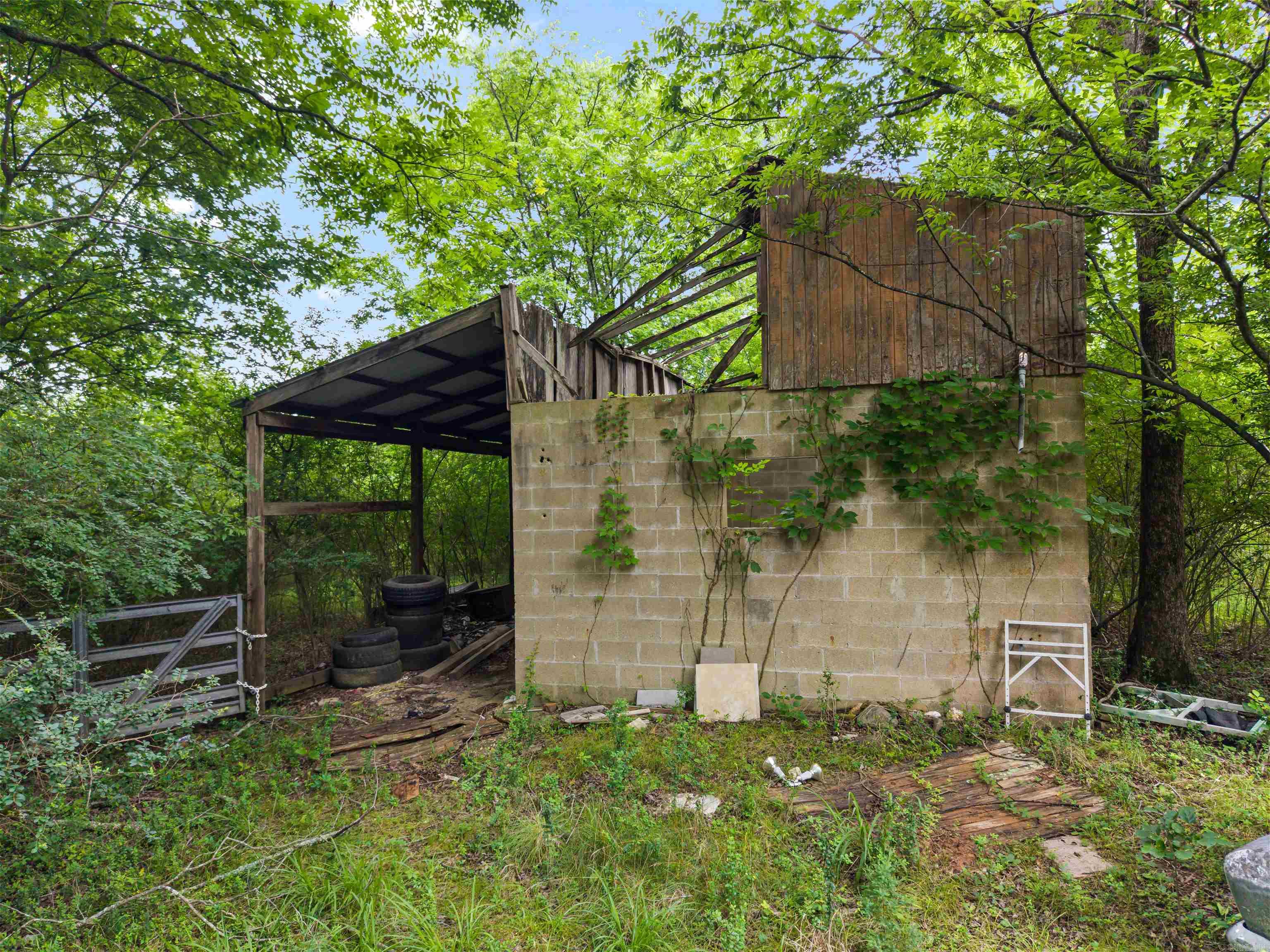 977 Wildcat Road Property Photo 13