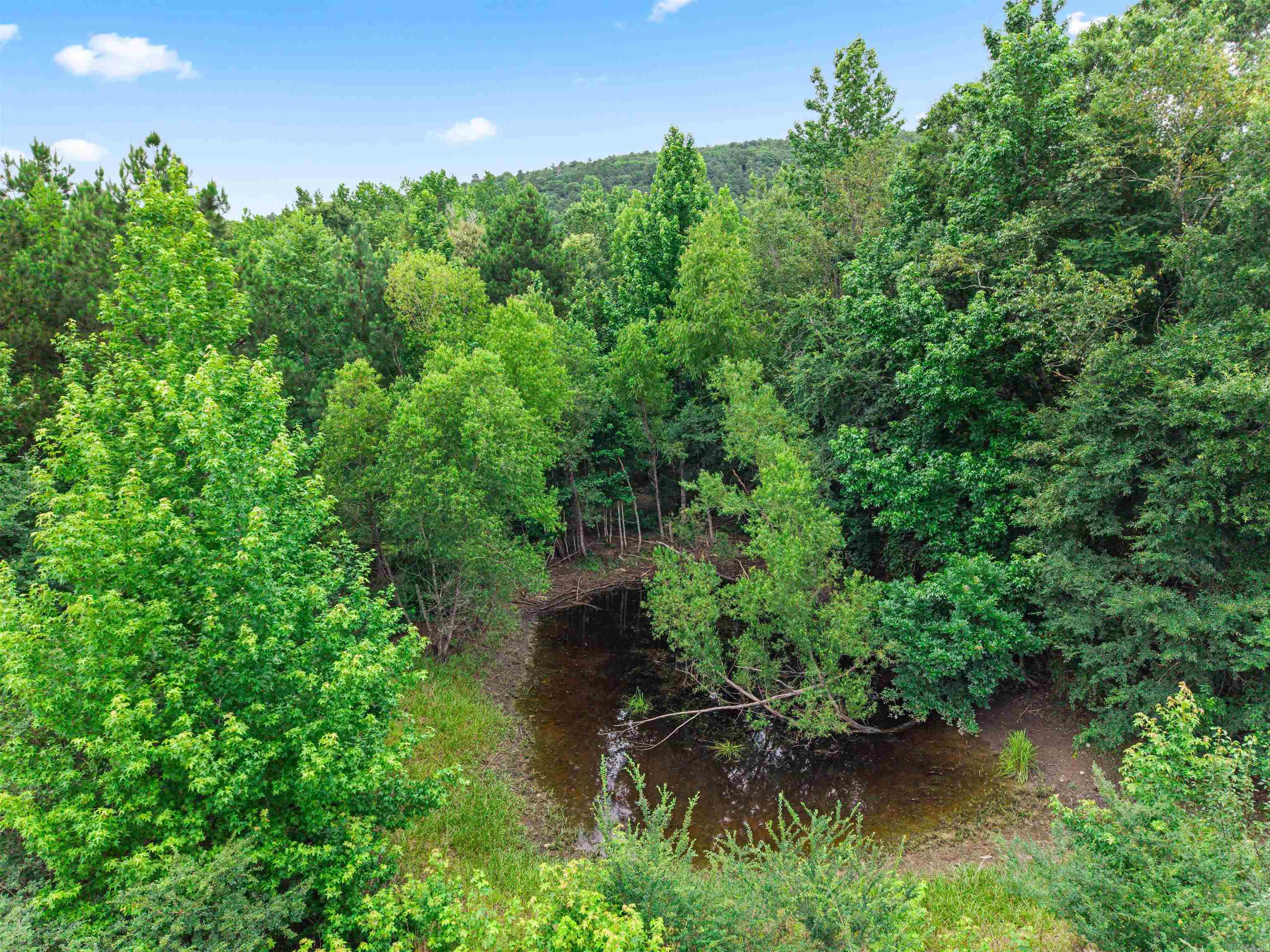 977 Wildcat Road Property Photo 30