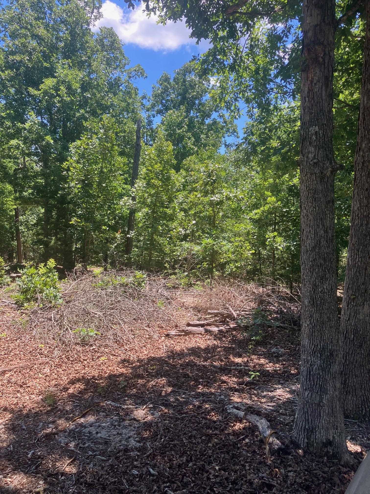 Tbd Red Fox Road Property Photo 1