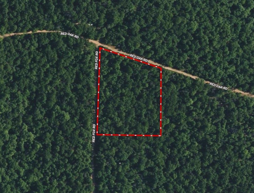 Tbd Red Fox Road Property Photo 2