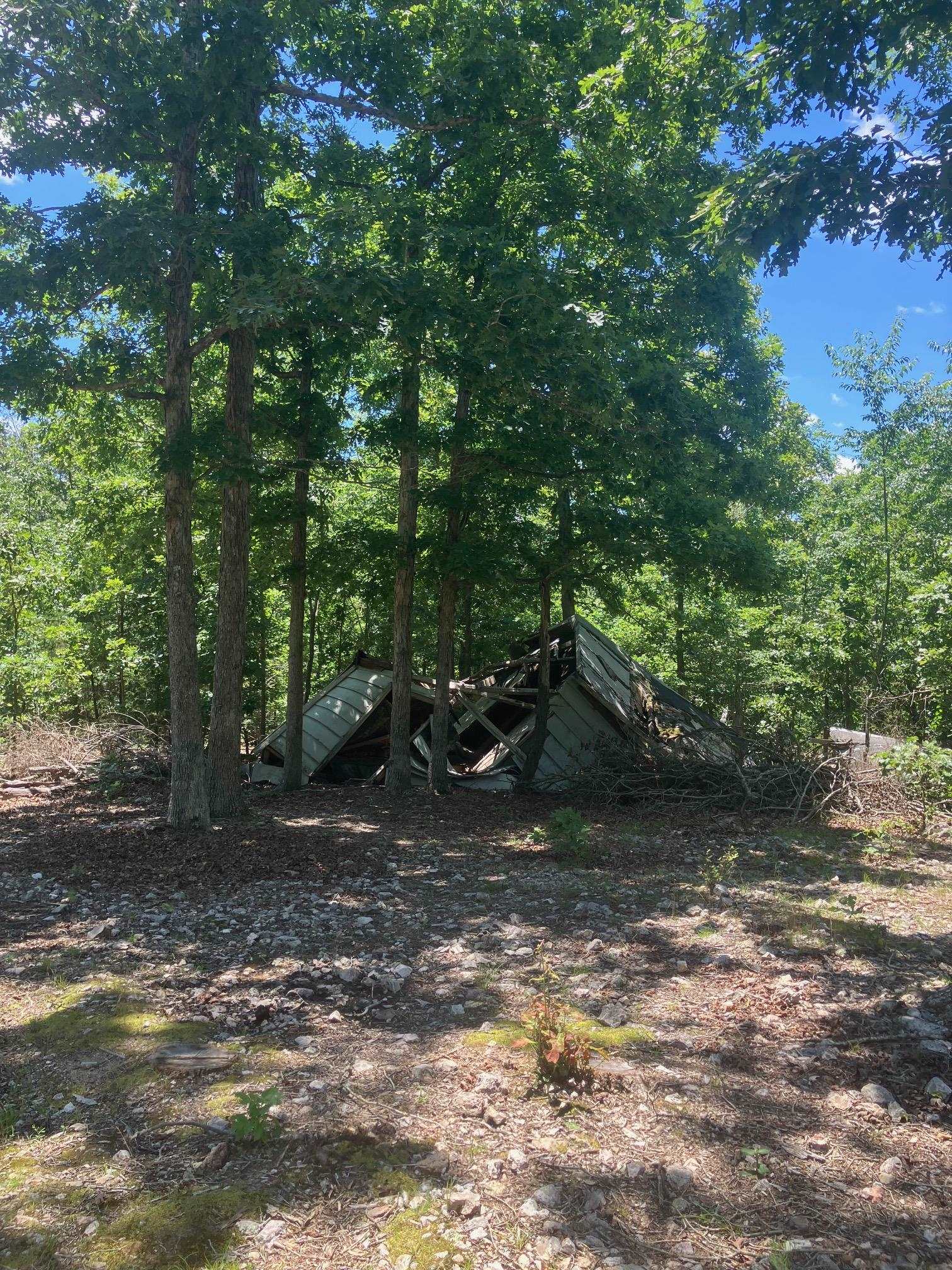 Tbd Red Fox Road Property Photo 4