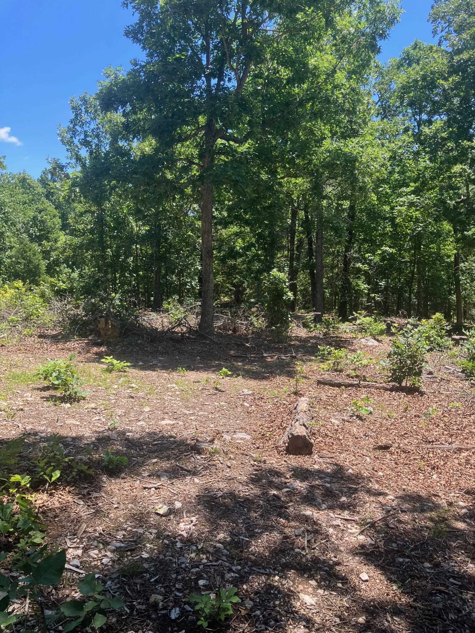 Tbd Red Fox Road Property Photo 5