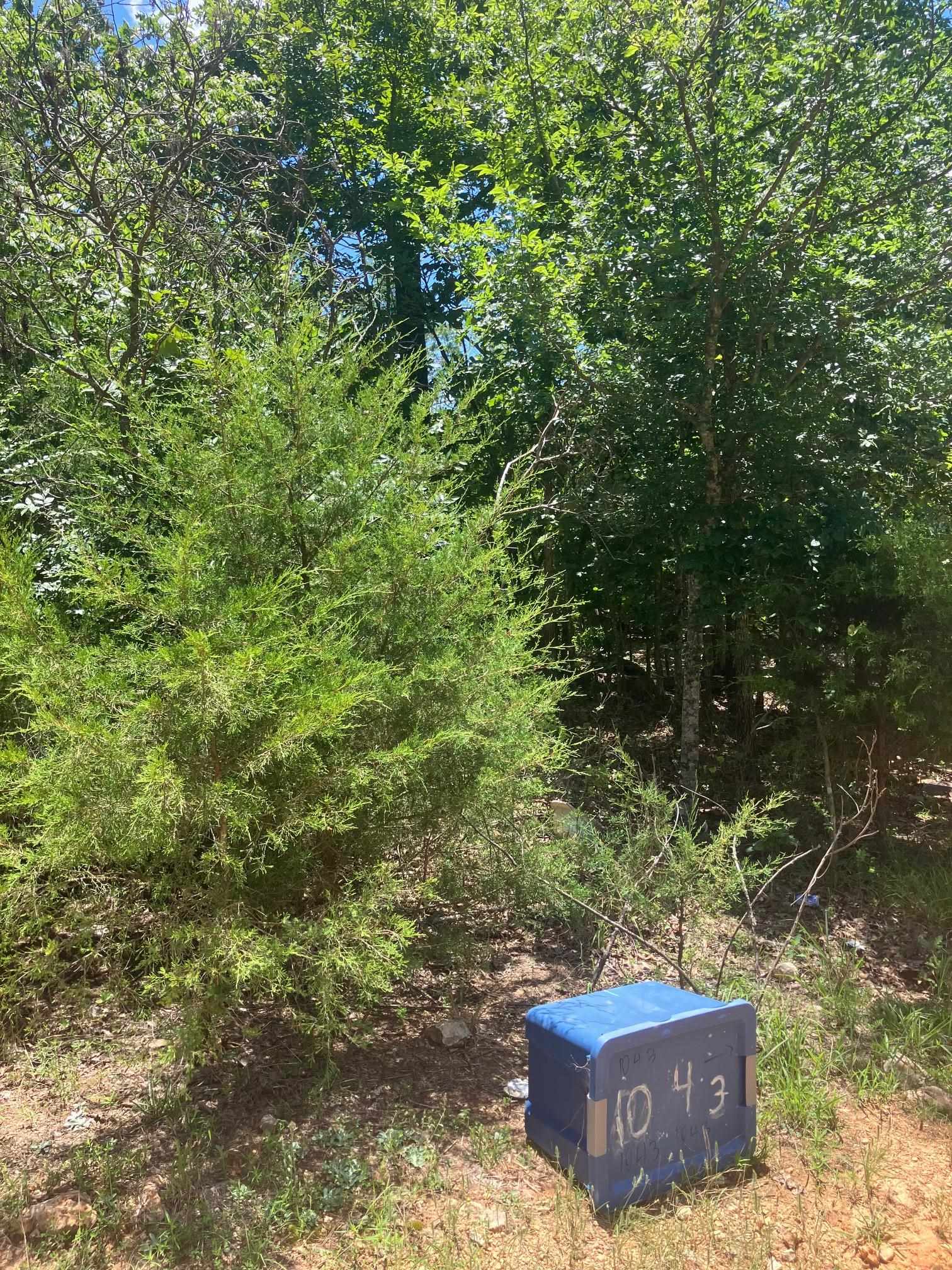 Tbd Red Fox Road Property Photo 6