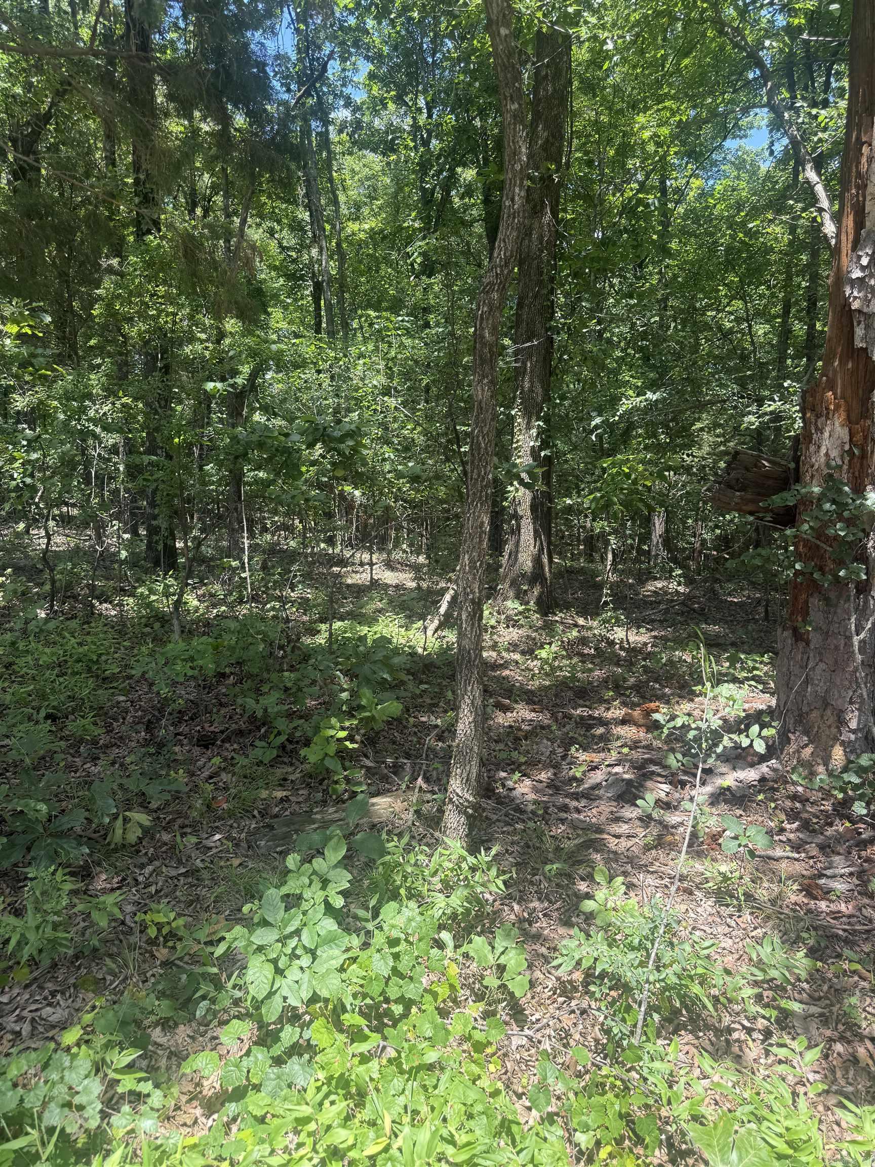 Greene 715 Property Photo 1