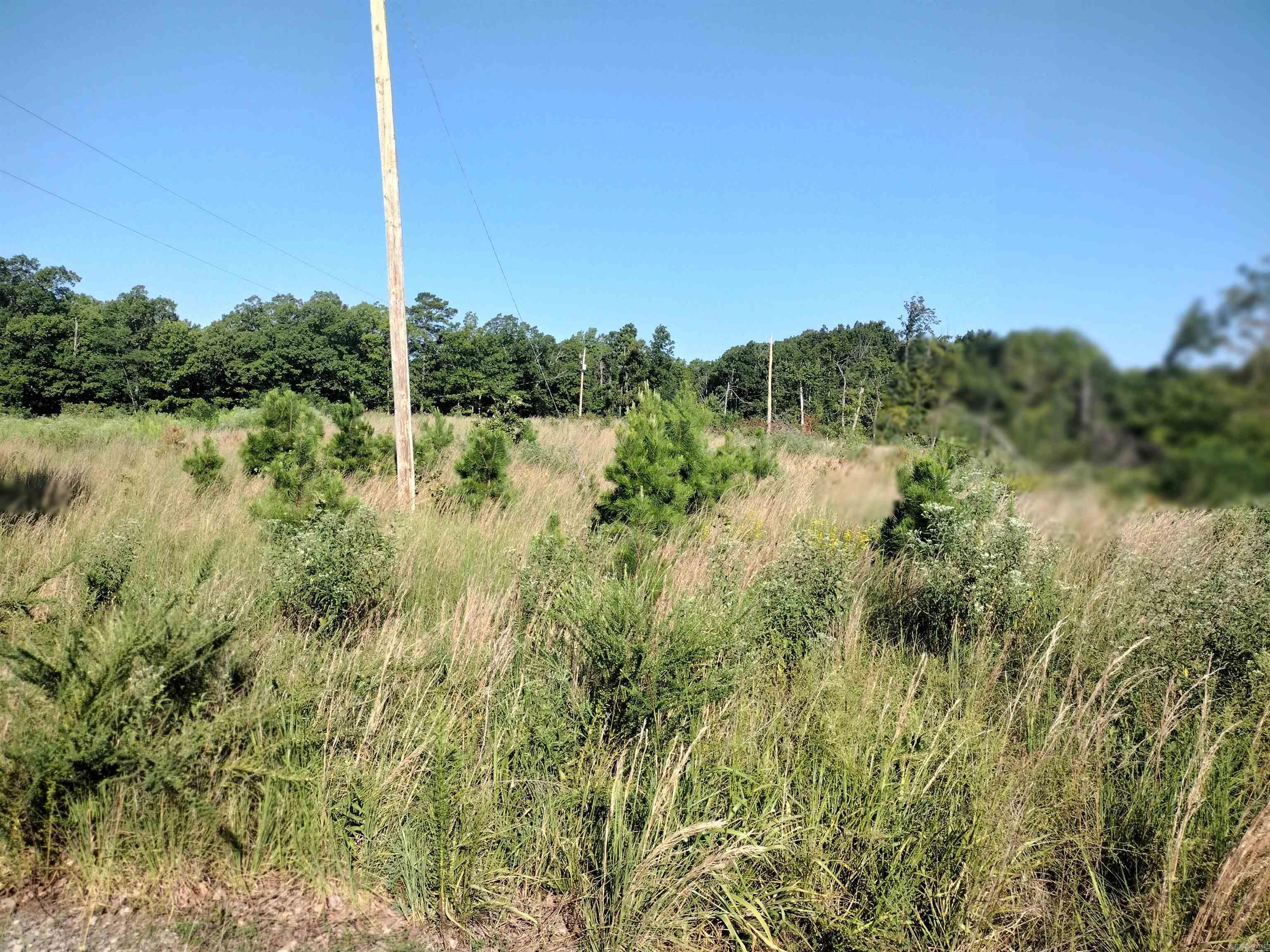 1700 Sutterfield Rd Property Photo 2
