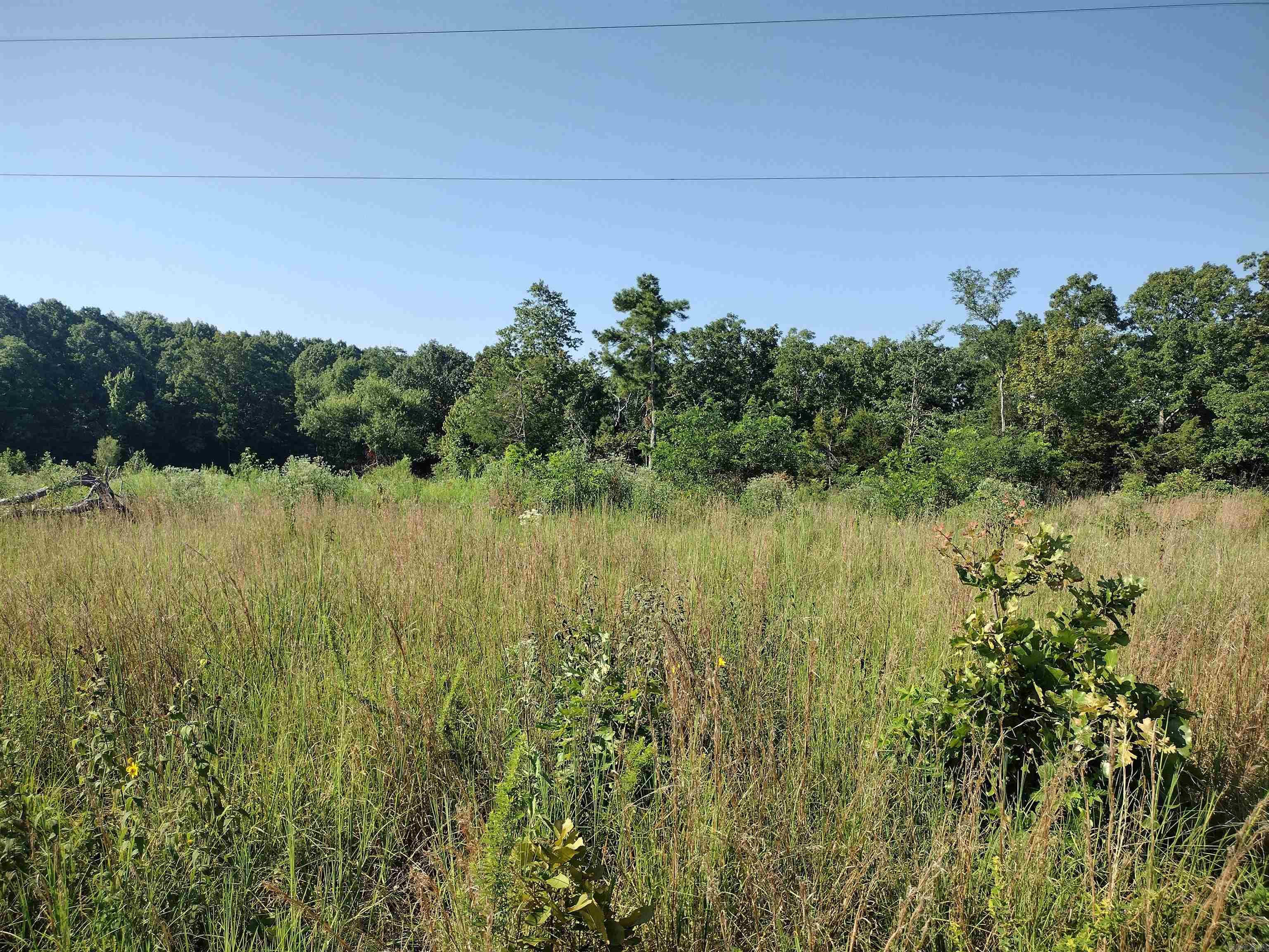 0 Sutterfield Road Property Photo 2