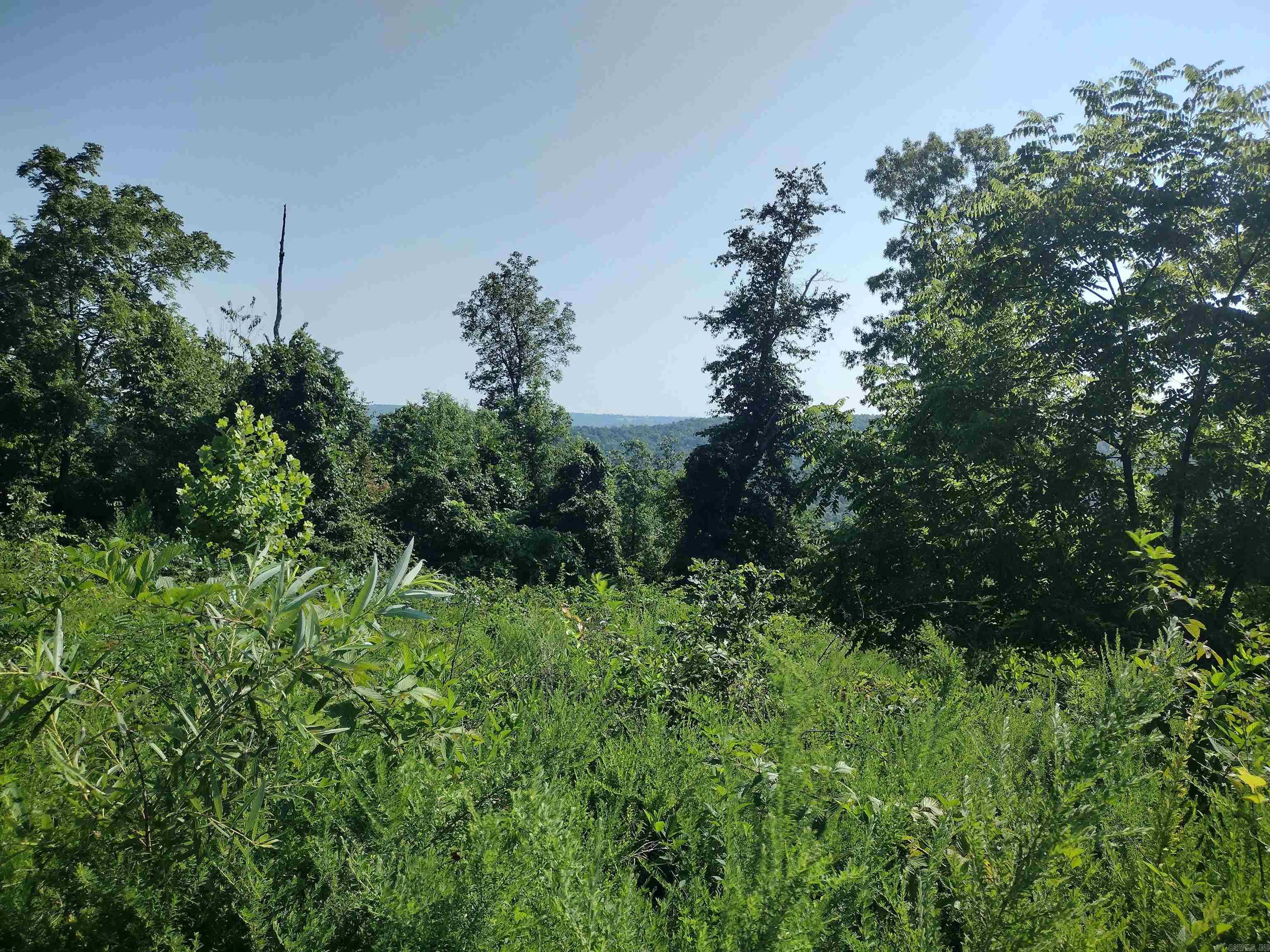 0 Sutterfield Road Property Photo 3