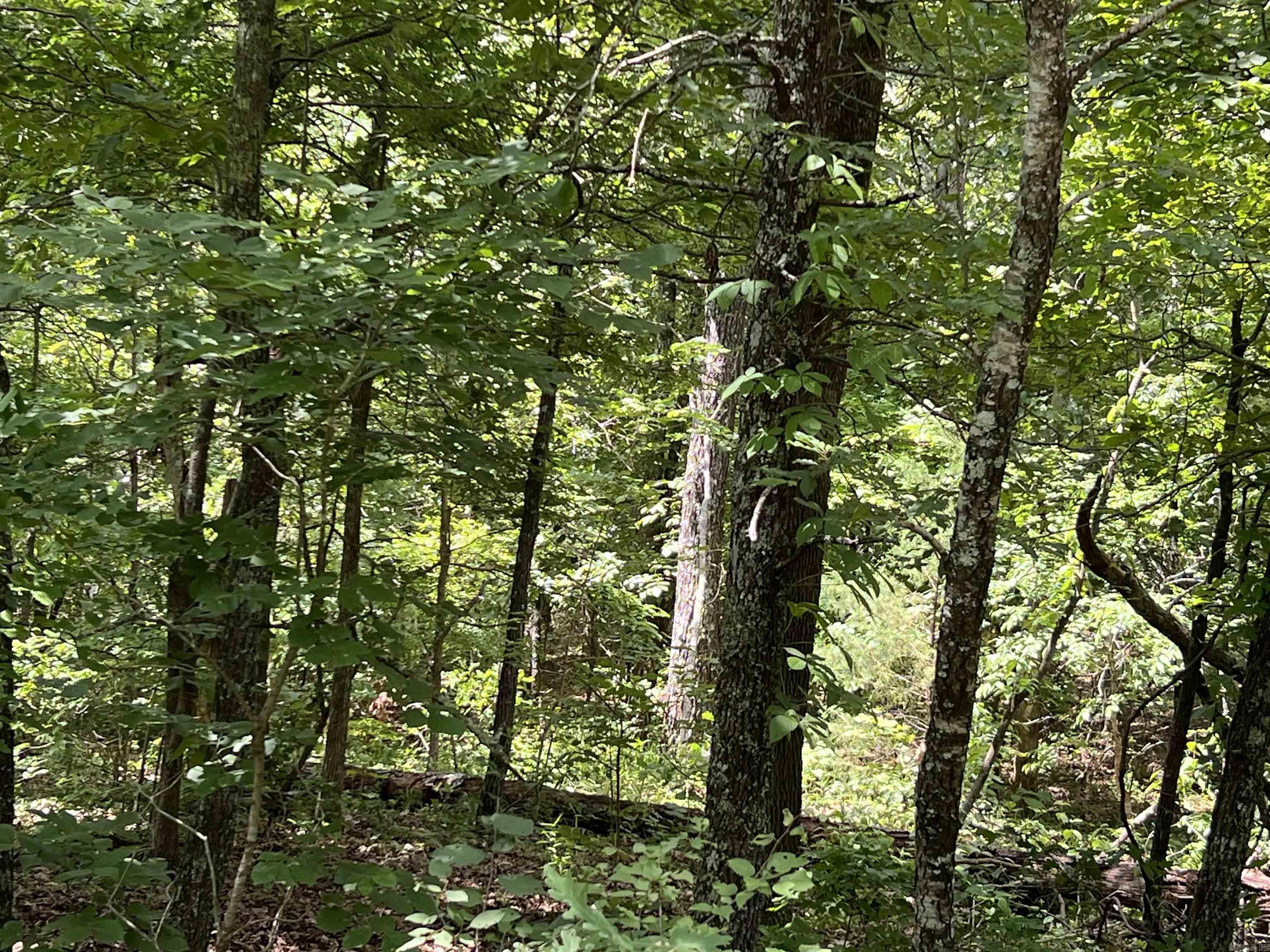 000 Pr Off Ridge Haven Property Photo 1