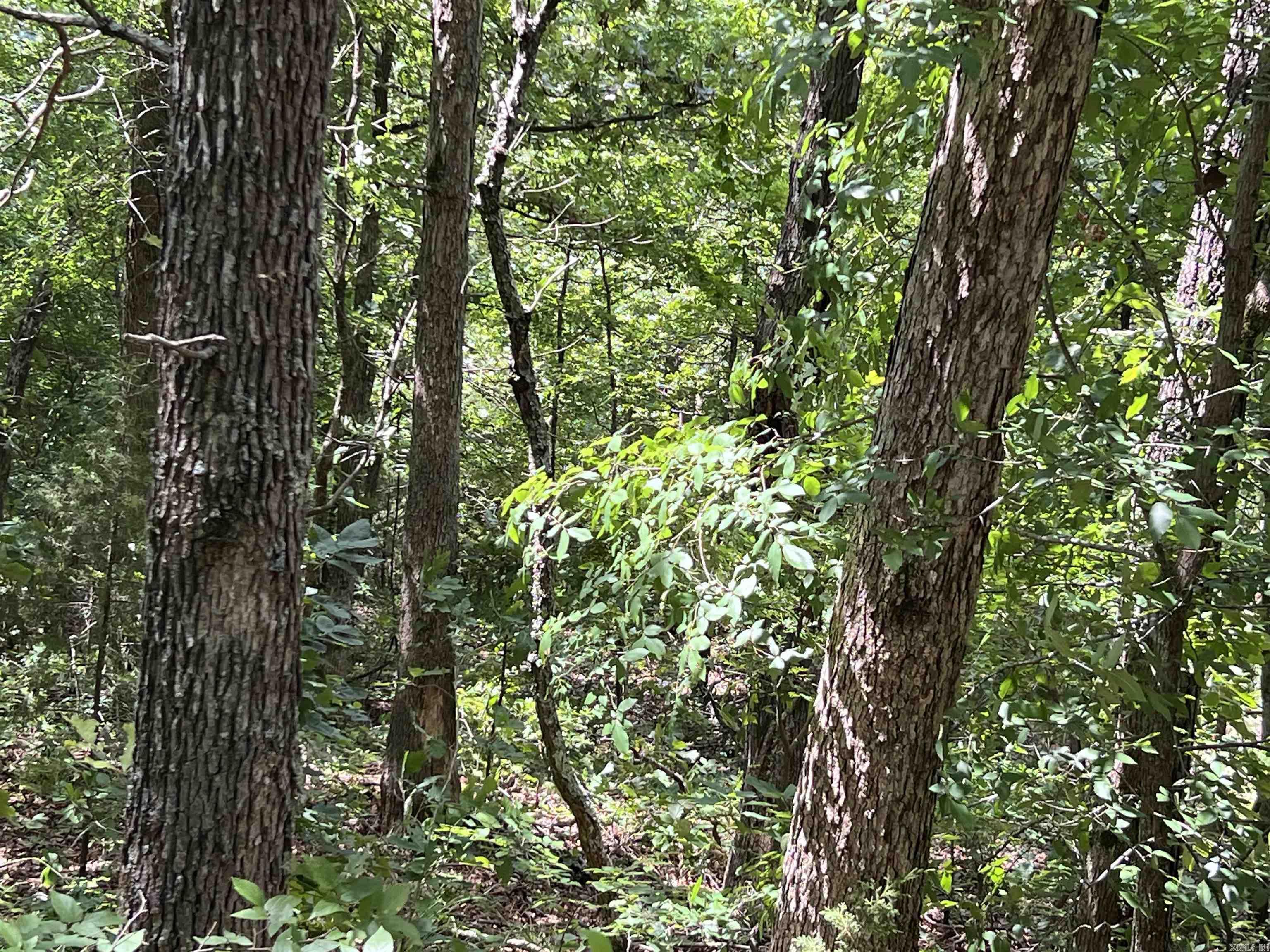000 Pr Off Ridge Haven Property Photo 2