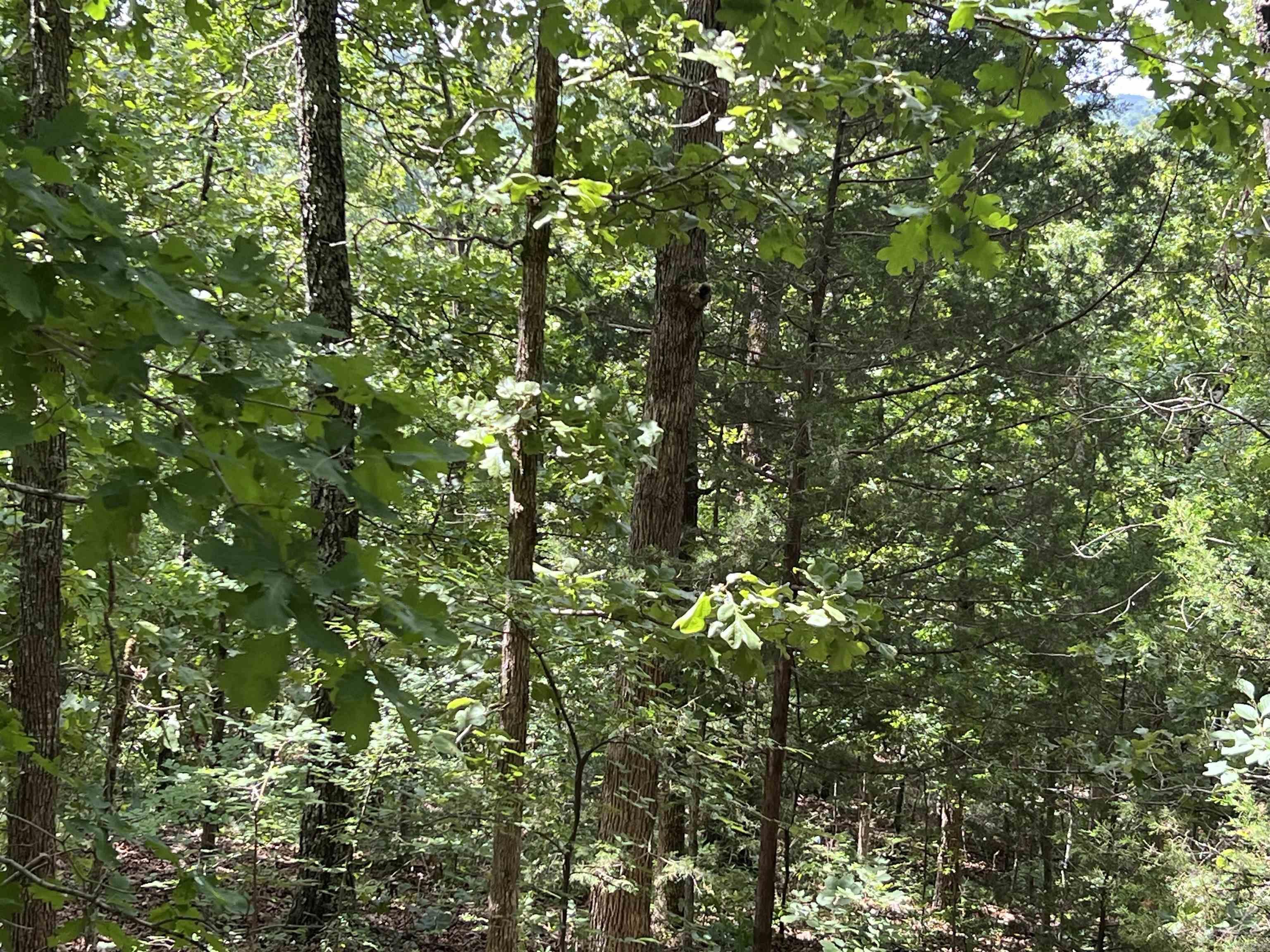 000 Pr Off Ridge Haven Property Photo 3