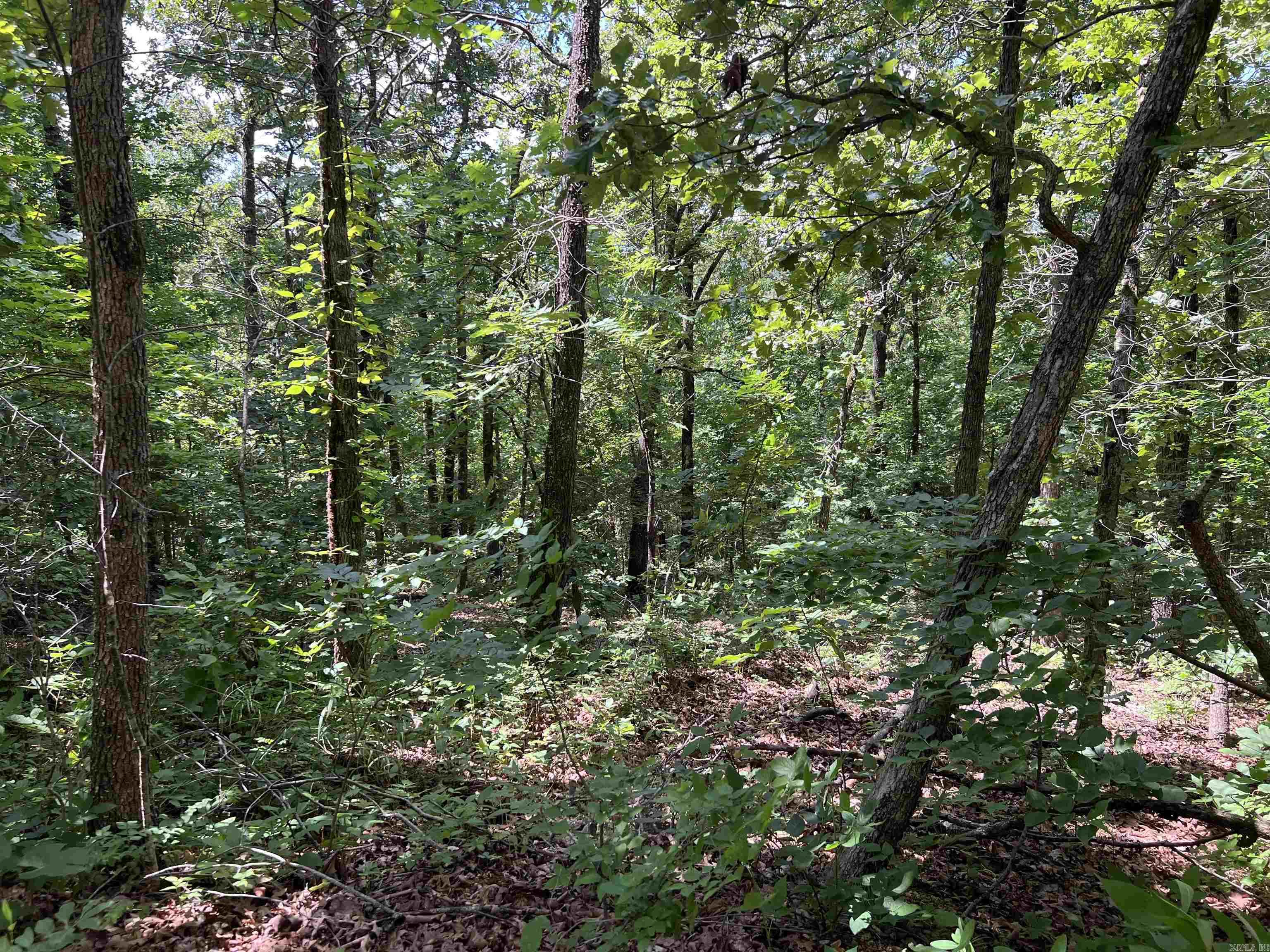 000 Pr Off Ridge Haven Property Photo 4