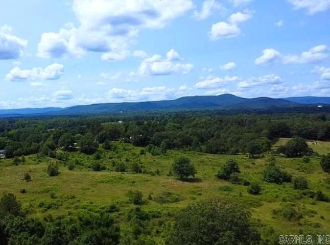 133 Bethesda Ridge Lane Property Photo 4