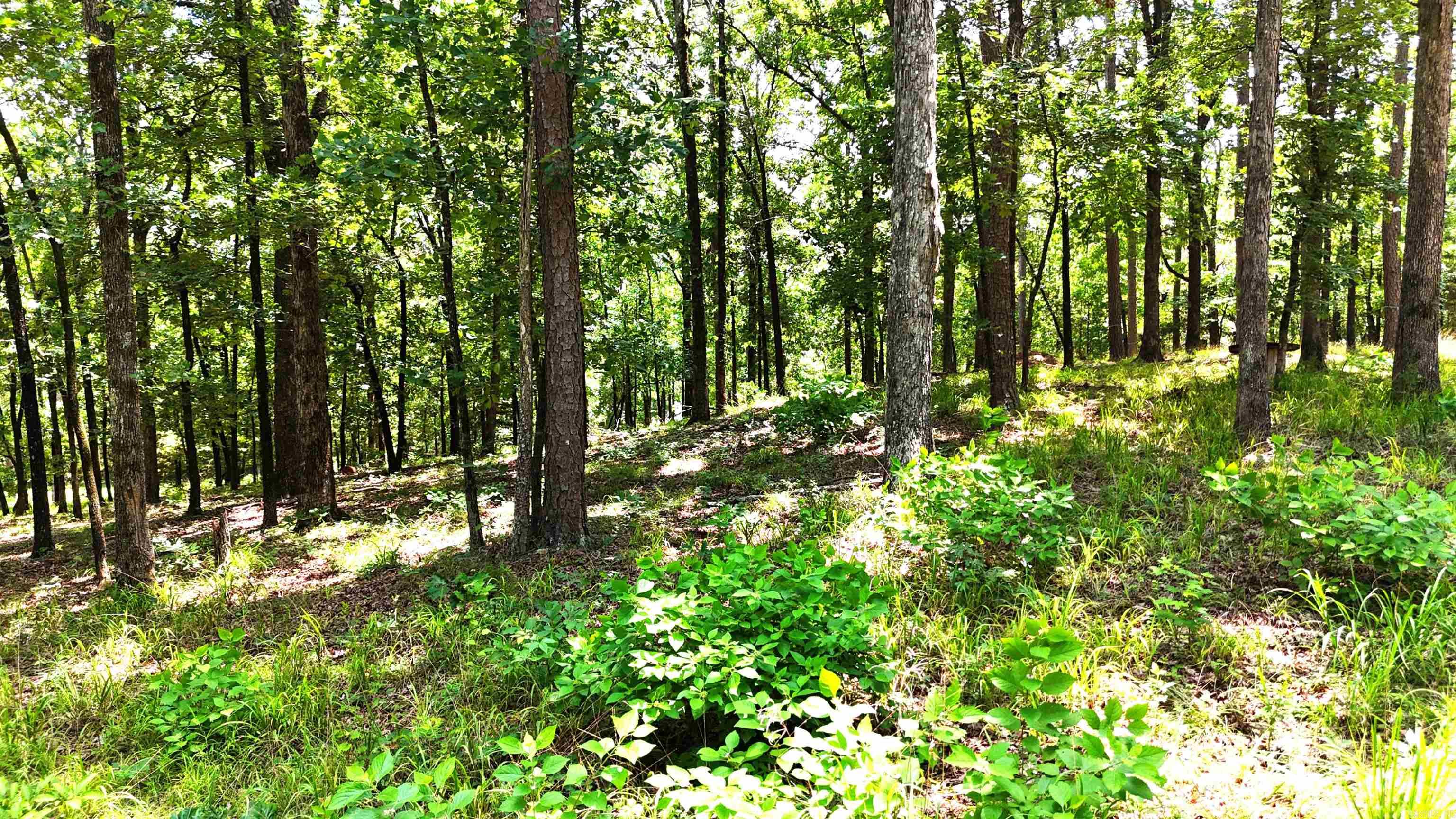 133 Bethesda Ridge Lane Property Photo 10