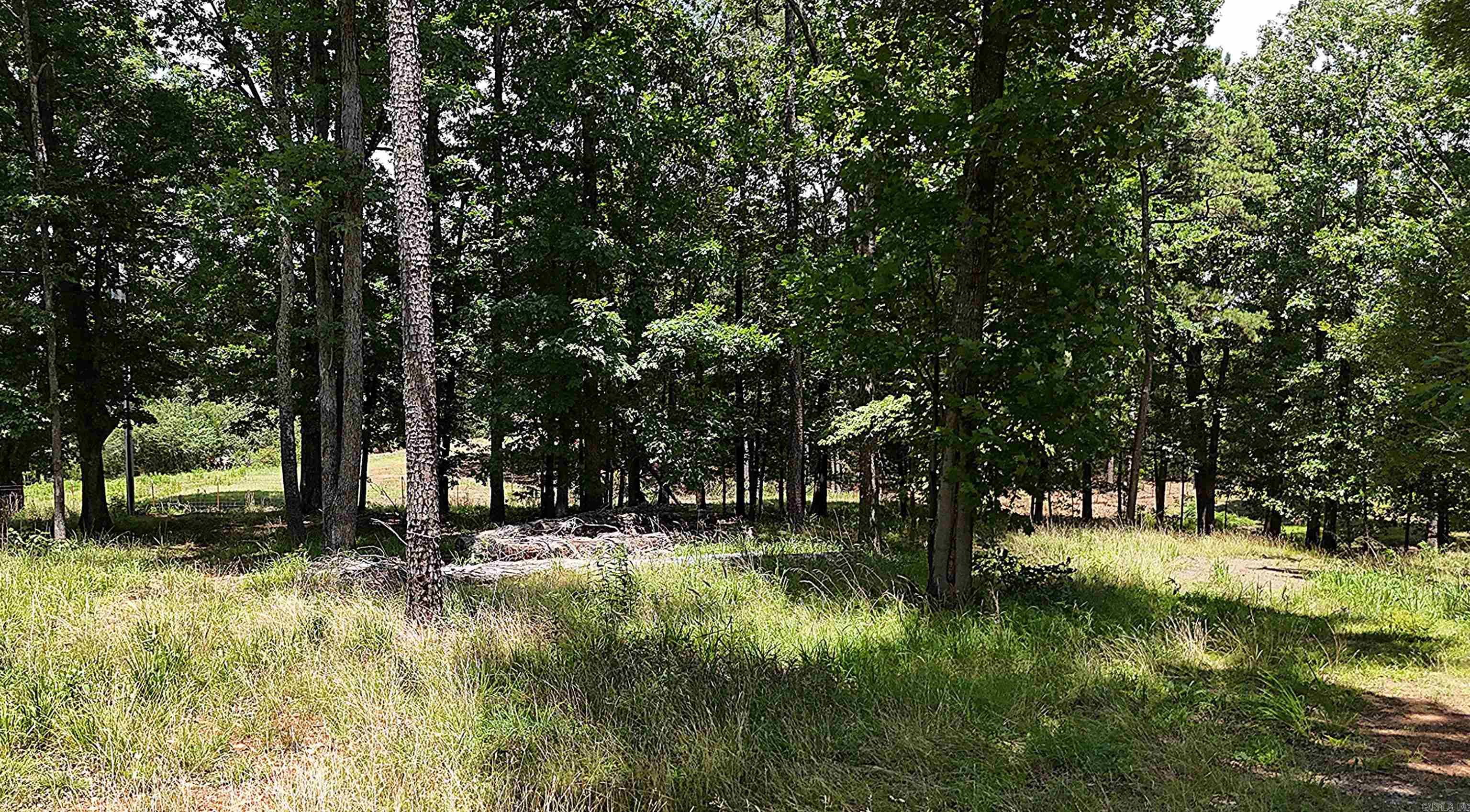 133 Bethesda Ridge Lane Property Photo 11