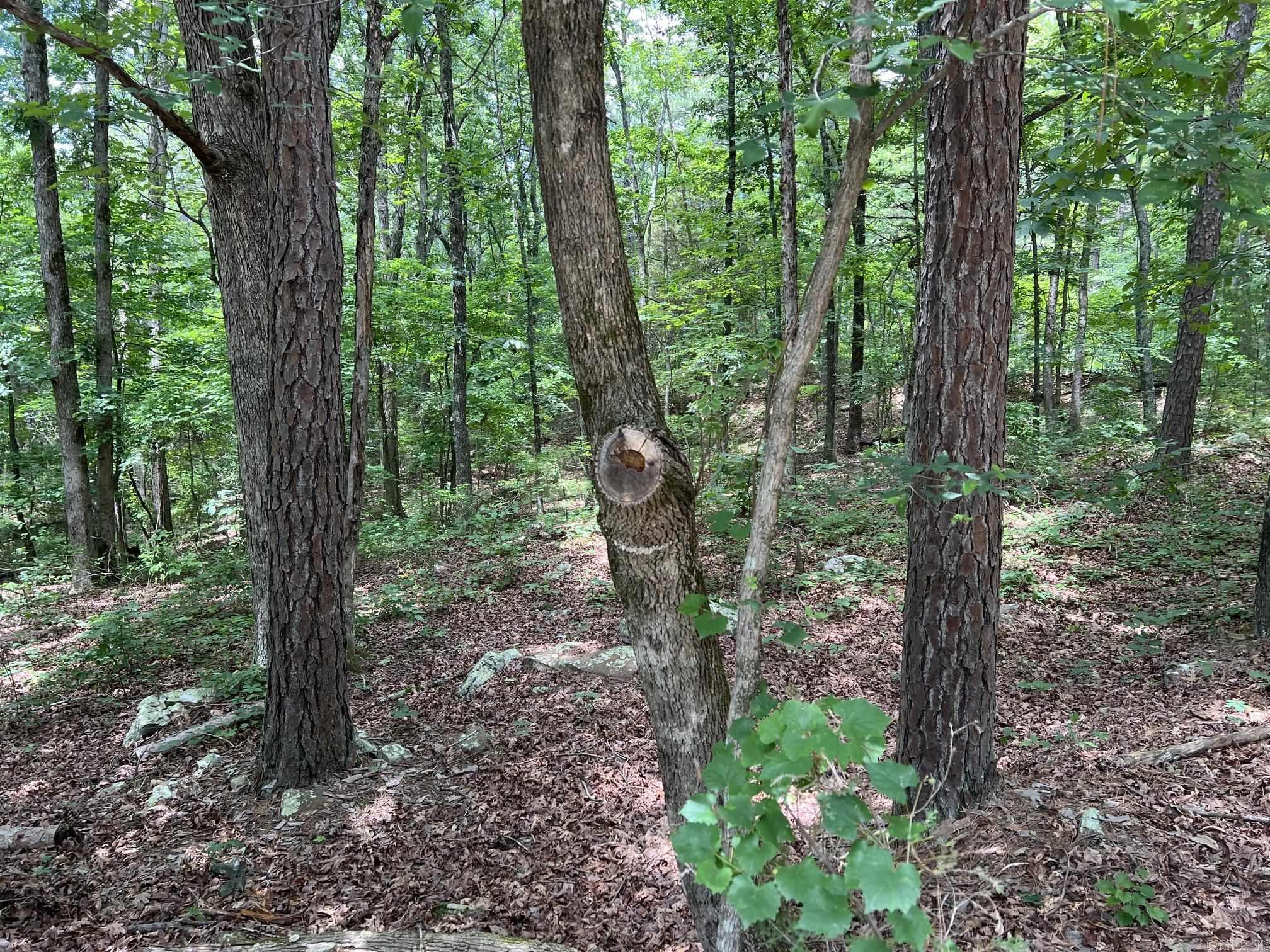 00 Rock Hill Road Property Photo 1