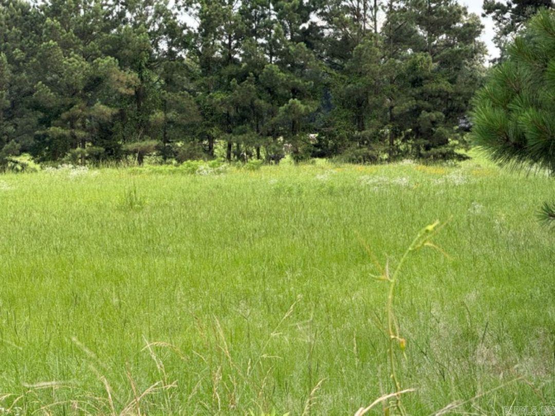 Tbd Highway 128 Property Photo 4