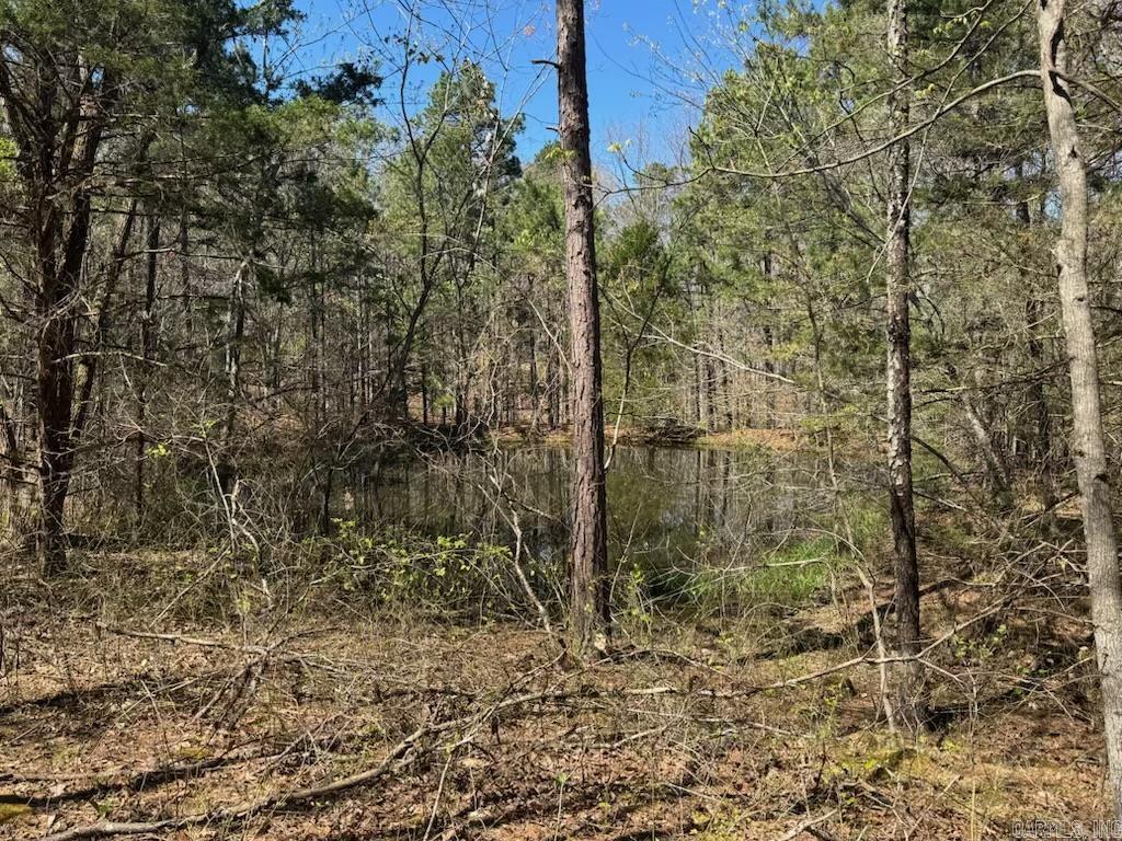 653 Blair Road Property Photo 22