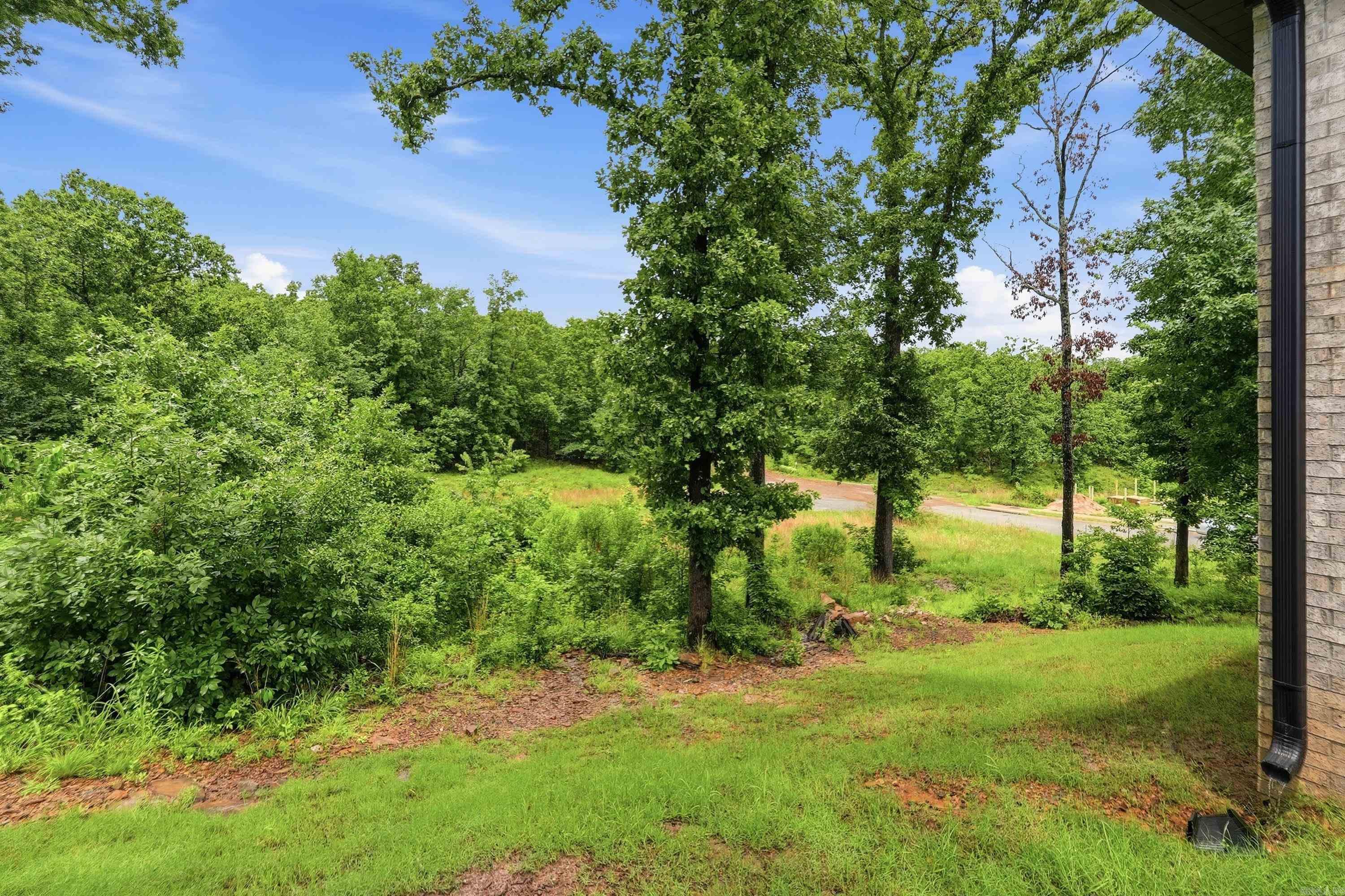 8568 Rapid Water Dr Property Photo 38