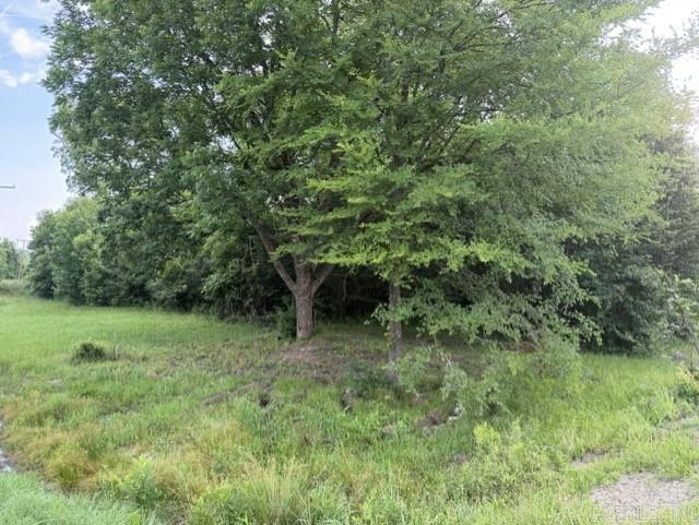 Tract C Alexander Road Property Photo 1