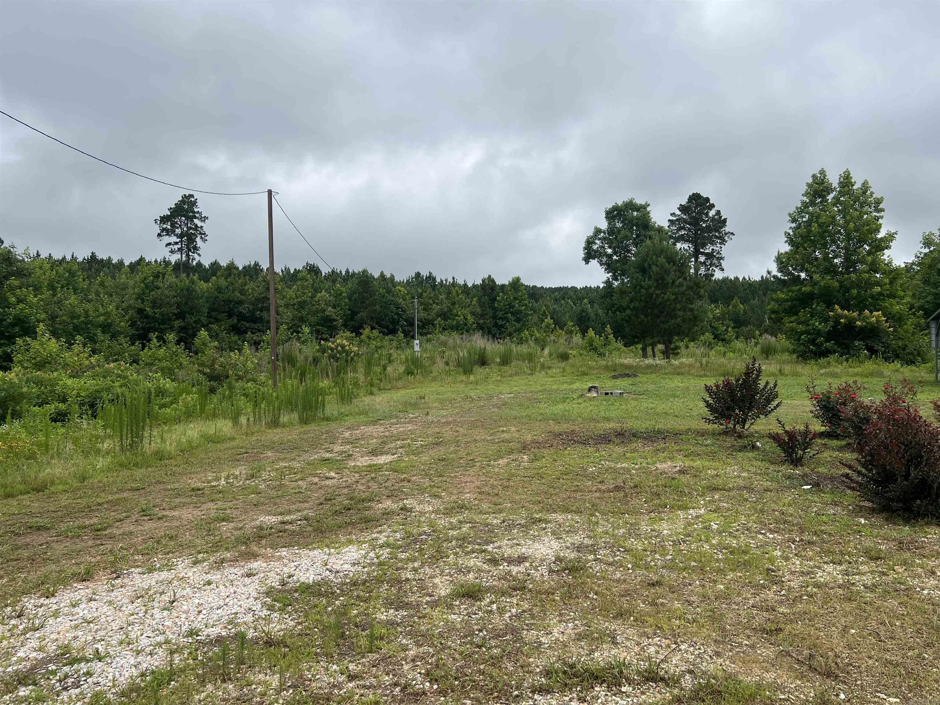 980 Sunflower Property Photo 15