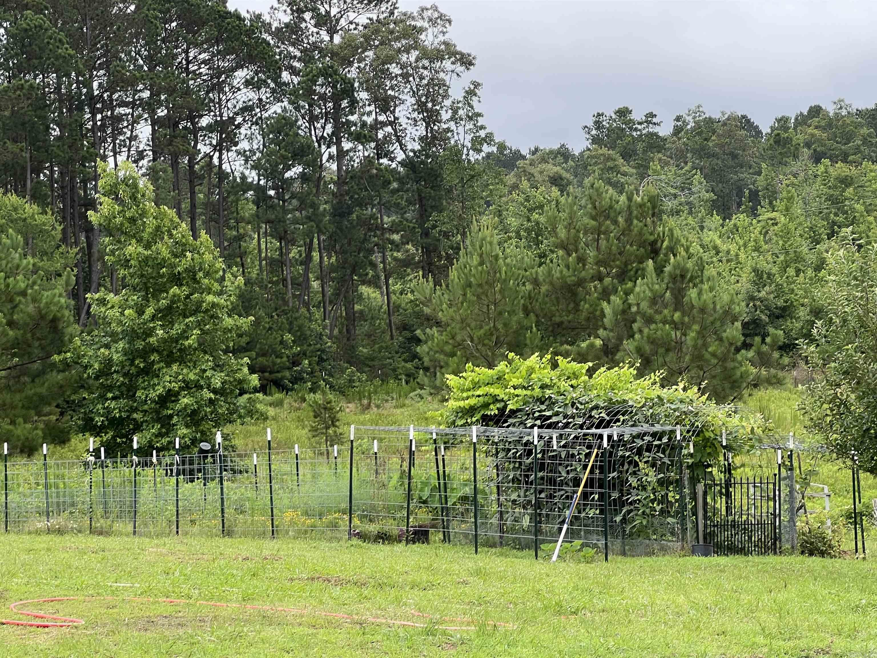 980 Sunflower Property Photo 19
